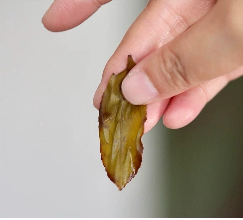 Premium Wuyi Rock Rougui Oolong Cinnamon Flavor High-end Yancha Wulong 50g