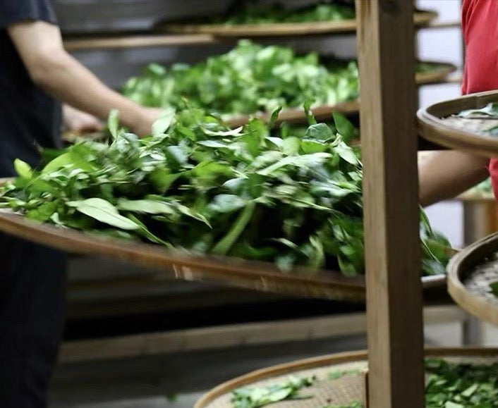 Premium Wuyi Rock Rougui Oolong Cinnamon Flavor High-end Yancha Wulong 50g