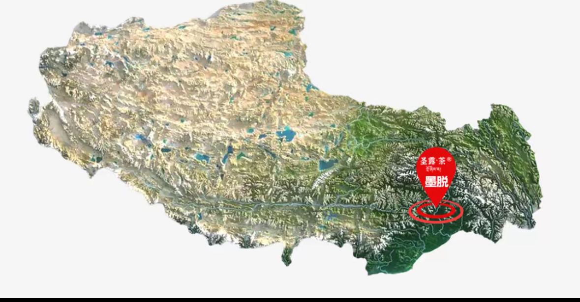 Premium 100% Organic Chinese Tibet Black Tea Hign-end Red Tea