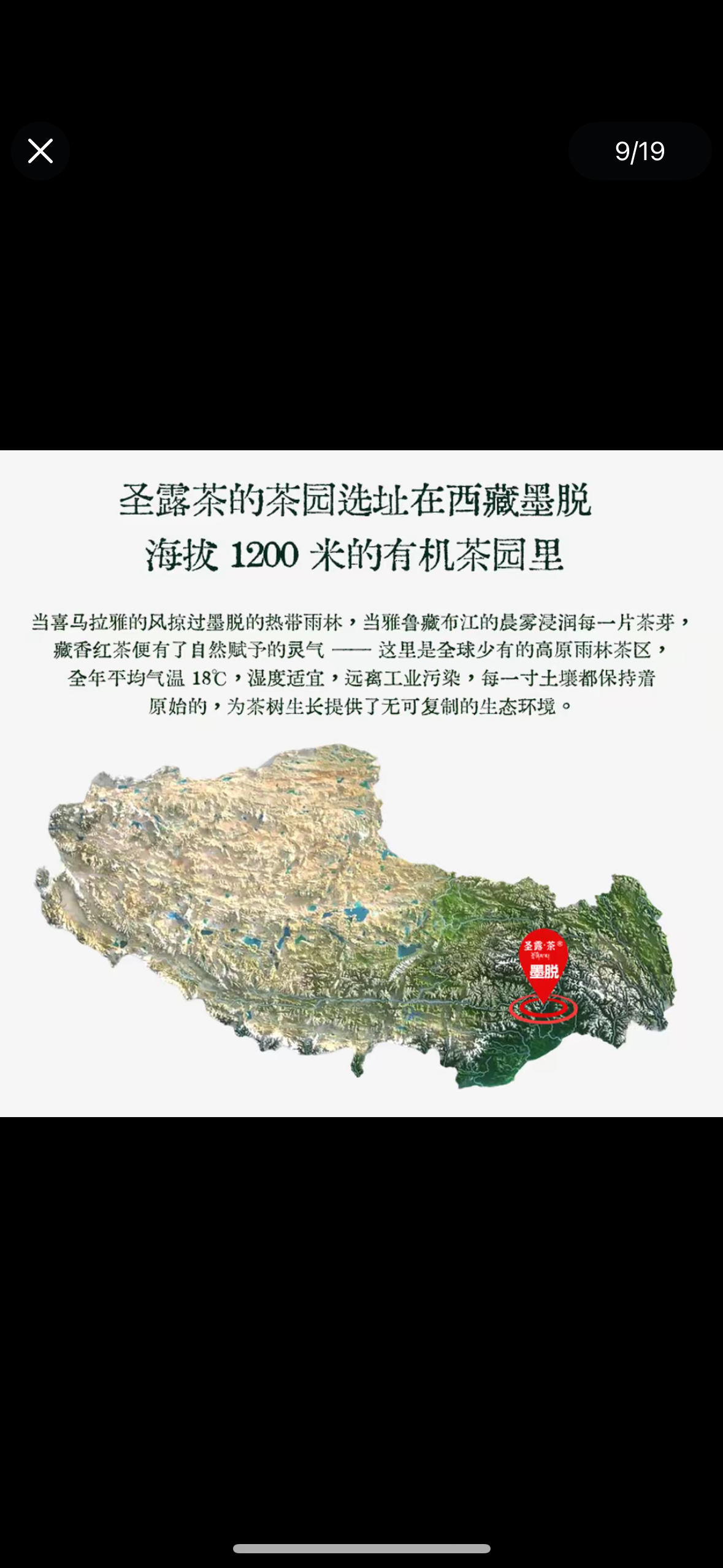 Wild Organic Chinese Tibet Medog Black Tea High-end Red Tea 60g