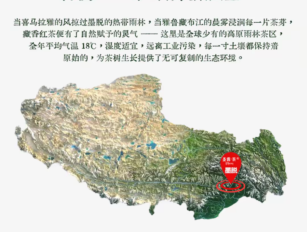 Organic Chinese Tibet Medog Black Tea High Mountain Motuo Red Tea Altitude 2200m 40g