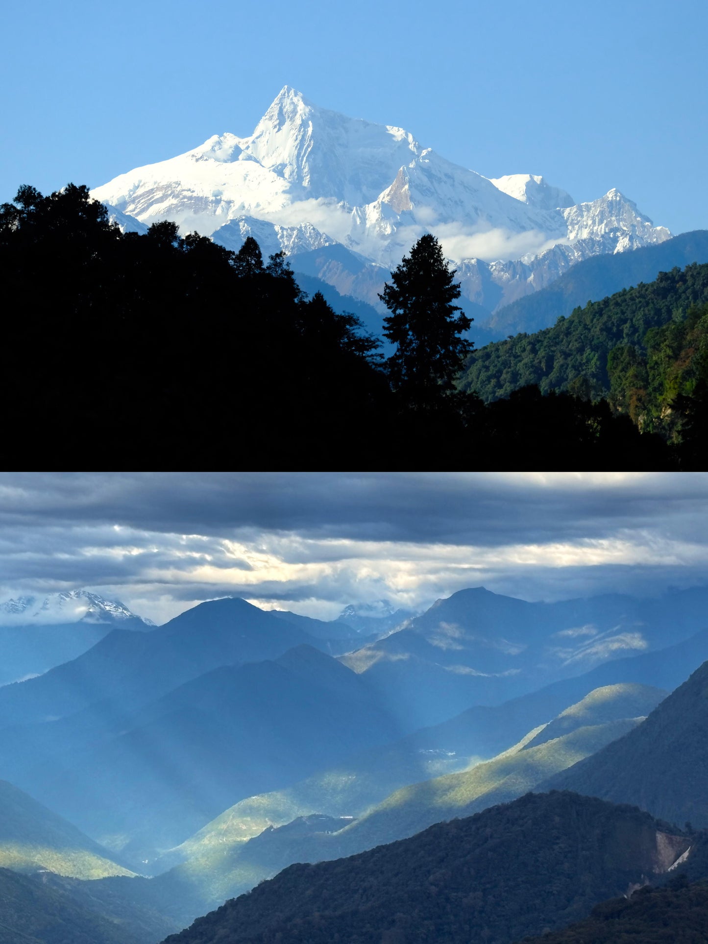 Organic Chinese Tibet Medog Black Tea High Mountain Motuo Red Tea Altitude 2200m 40g