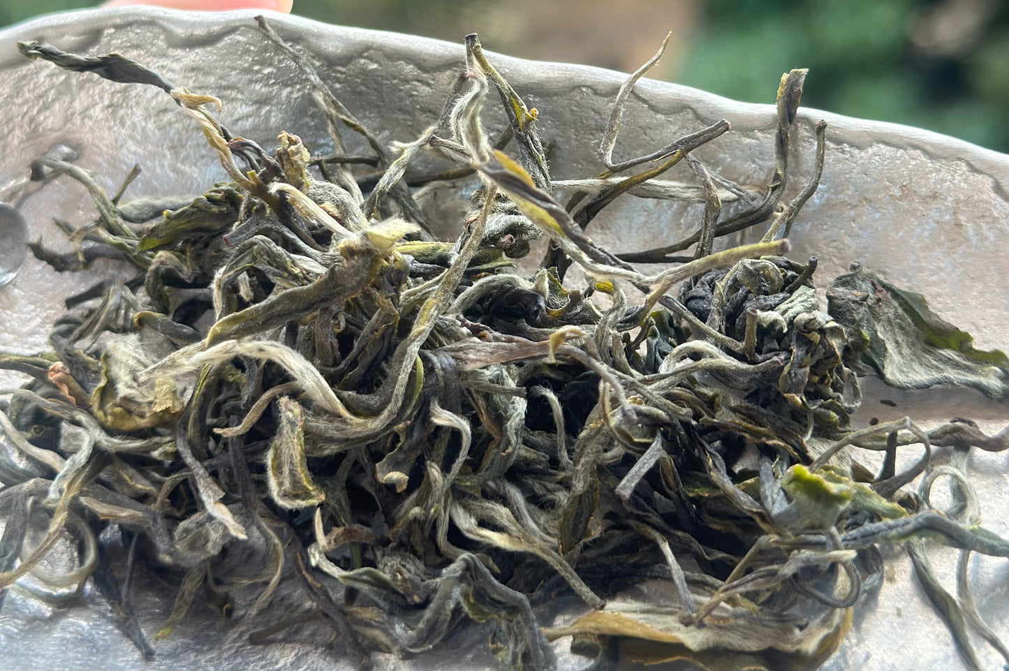 Organic Chinese Tibet Medog Premium Green Tea Motuo High-class Tea