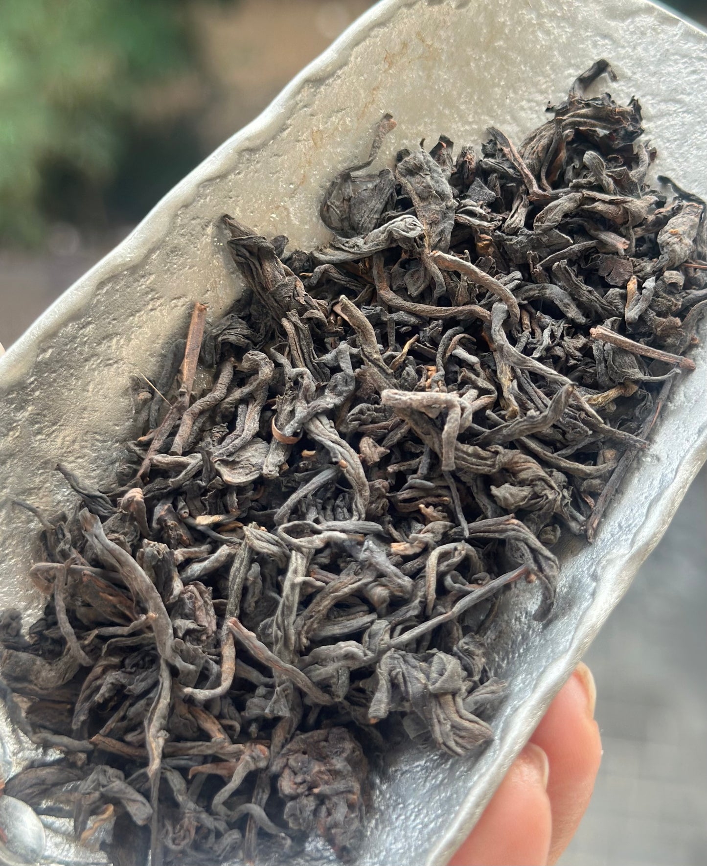 Premium 2019 Chinese Aged Liubao Dark Tea Ginseng Flavor Liupao Hei Cha