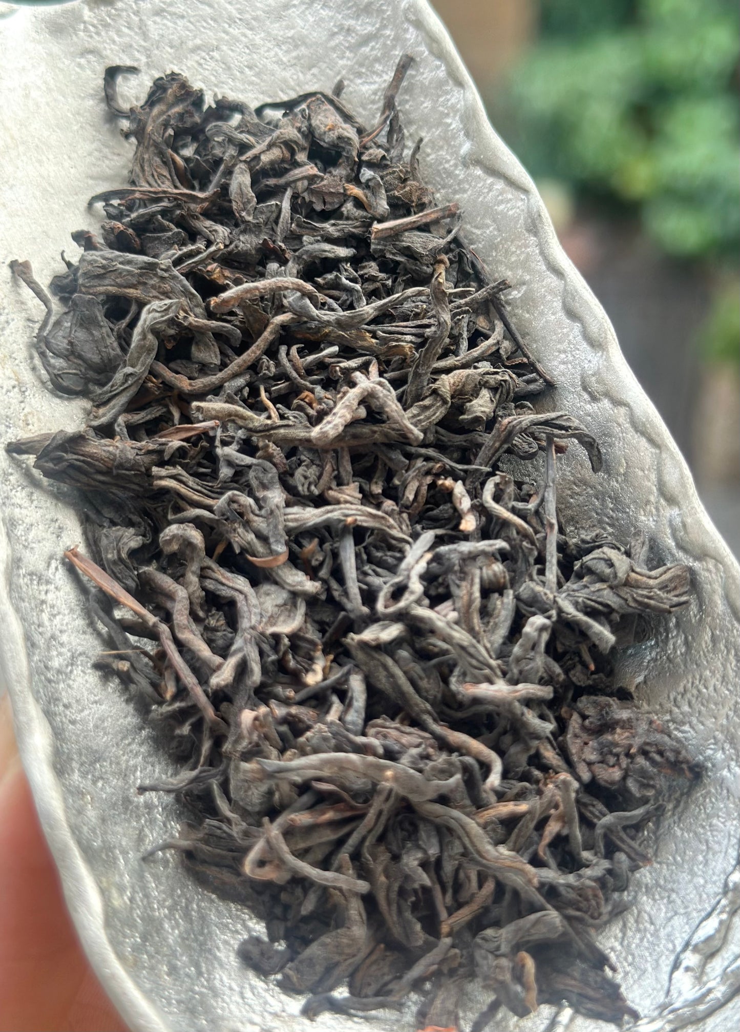 Premium 2019 Chinese Aged Liubao Dark Tea Ginseng Flavor Liupao Hei Cha