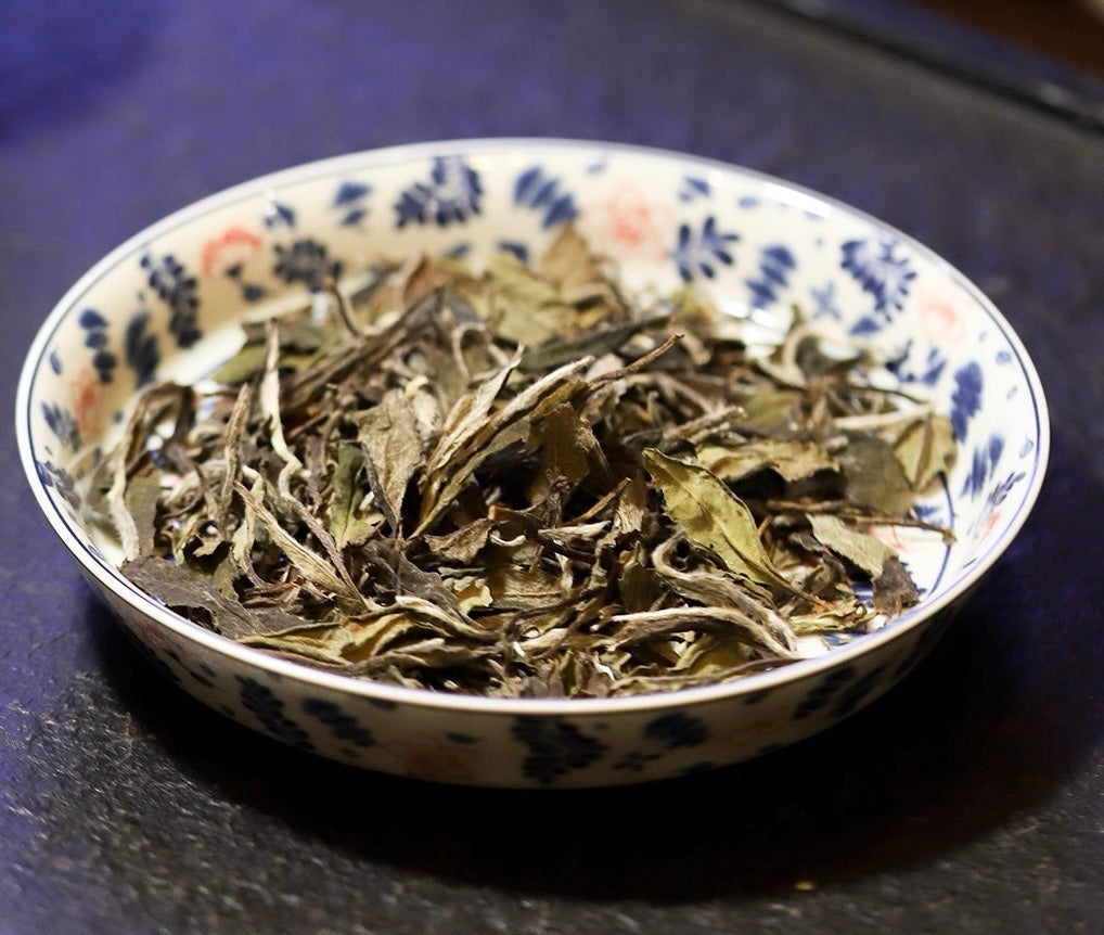 2019 Aged Organic Wild Baimudan Premimum Laocong Taimu Mountain White Peony White Tea Baicha