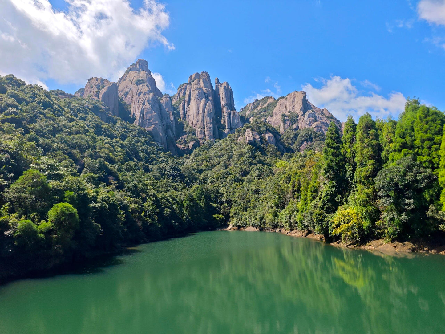 2019 Aged Organic Wild Baimudan Premimum Laocong Taimu Mountain White Peony White Tea Baicha