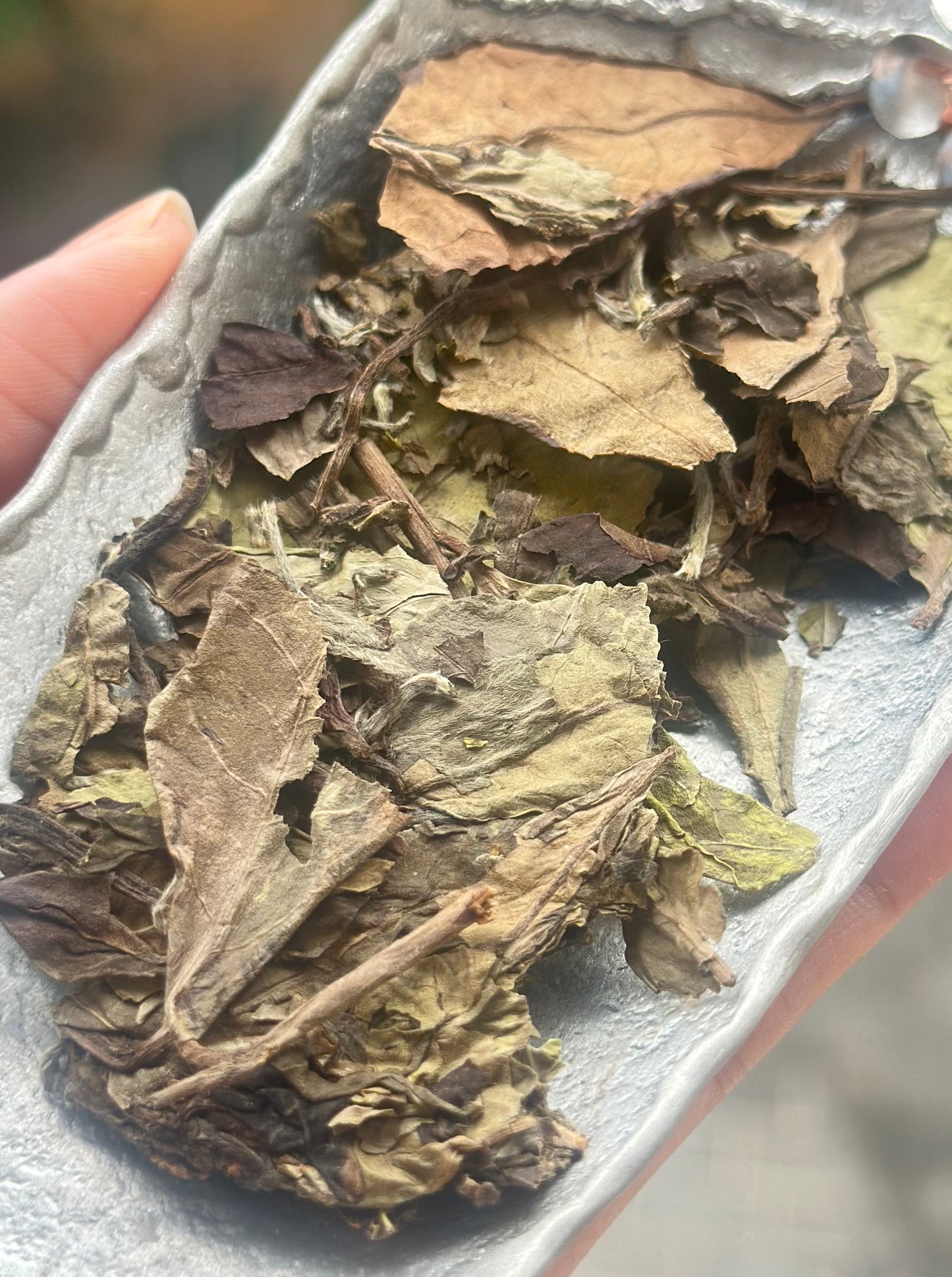 2018 Wild White Tea Shoumei Oragnic Fuding White Tea