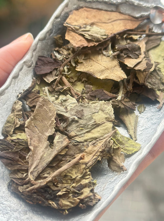 2018 Wild White Tea Shoumei Oragnic Fuding White Tea