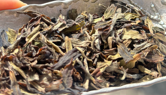 Organic 2016 Aged Wild First Spring Harvest Yuye Fish Leaf Fuding Taimu Mountain White Tea