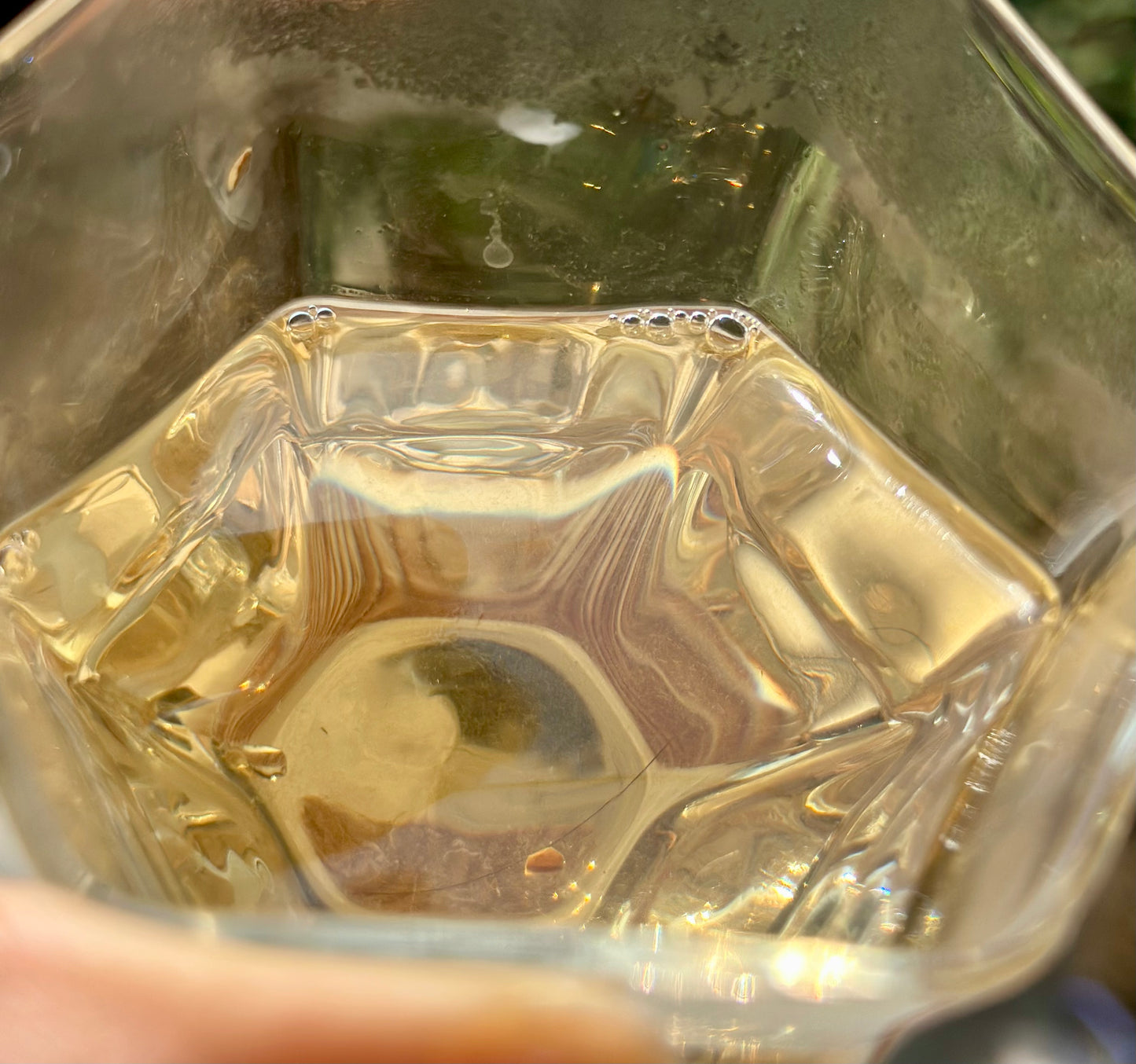 Organic 2016 Aged Wild First Spring Harvest Yuye Fish Leaf Fuding Taimu Mountain White Tea