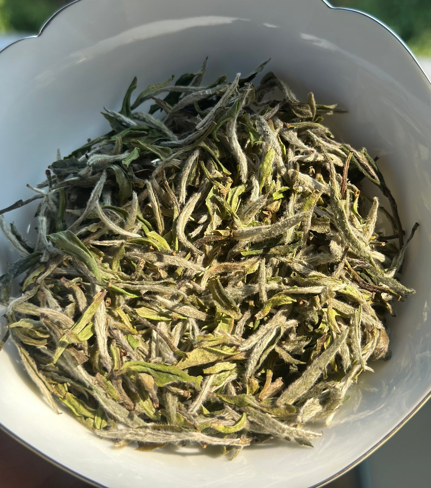 2025 Organic Wild First Spring Harvest Supreme Baimudan Liucong Panxi High Mountain  White Peony White Tea Baicha