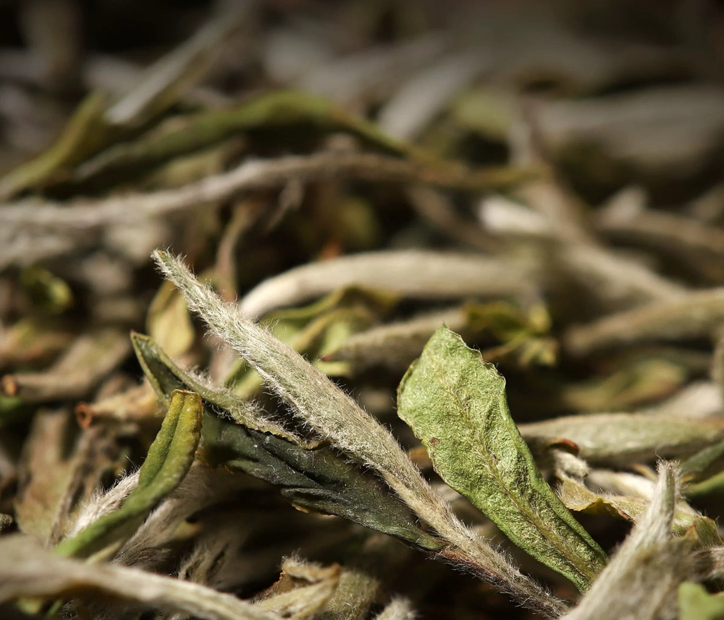 2025 Organic Wild First Spring Harvest Supreme Baimudan Liucong Panxi High Mountain  White Peony White Tea Baicha
