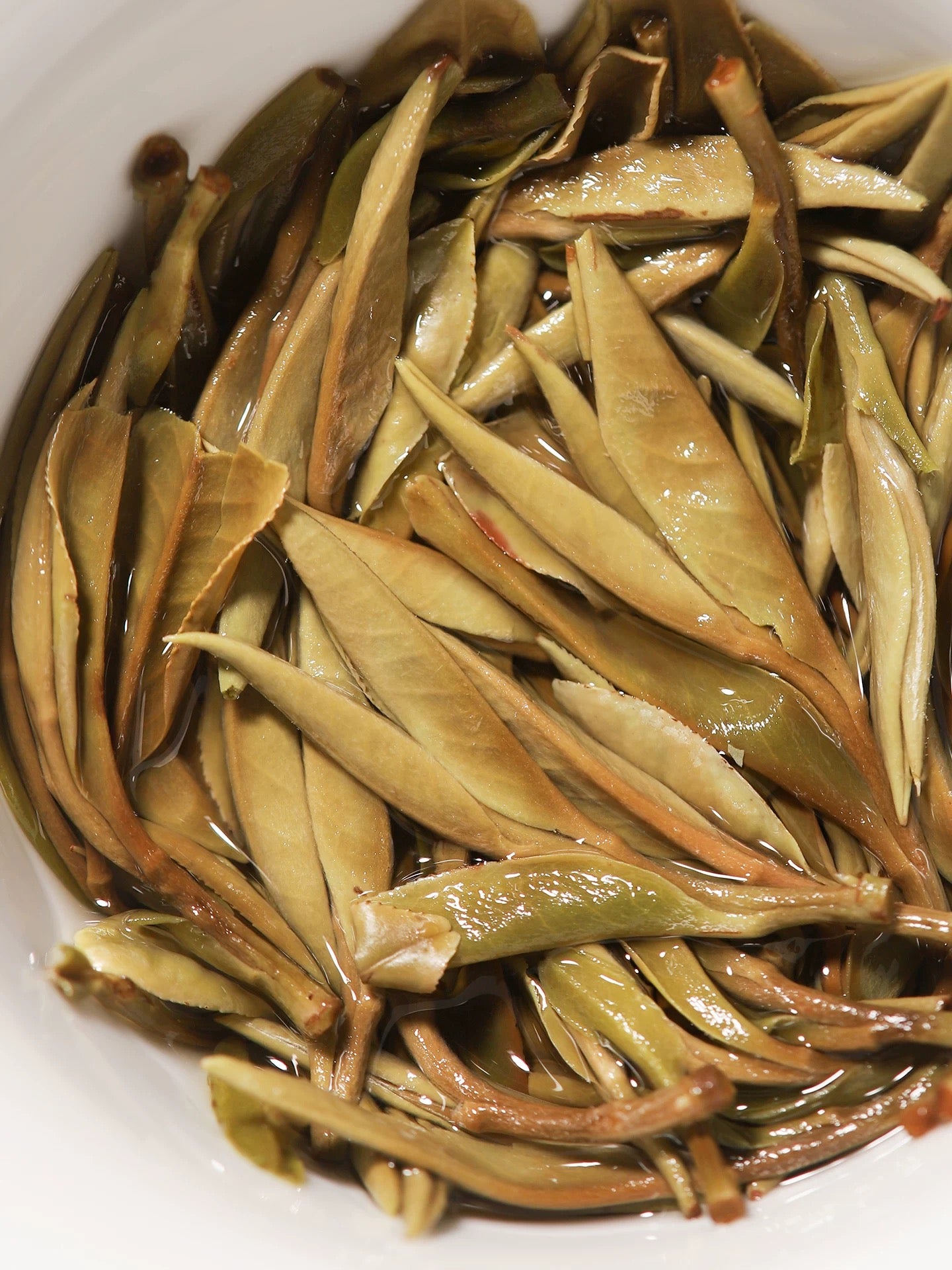 2025 Organic Wild First Spring Harvest Supreme Baimudan Liucong Panxi High Mountain  White Peony White Tea Baicha