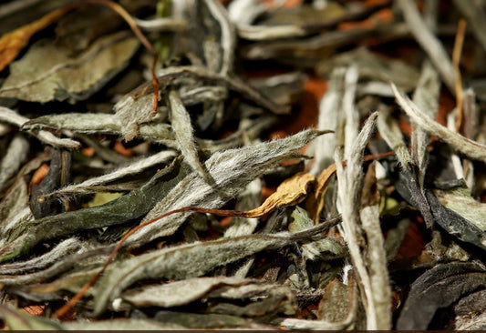 Chinese Premium Blended Gardenia Baimudan Fuding White Peony White Tea