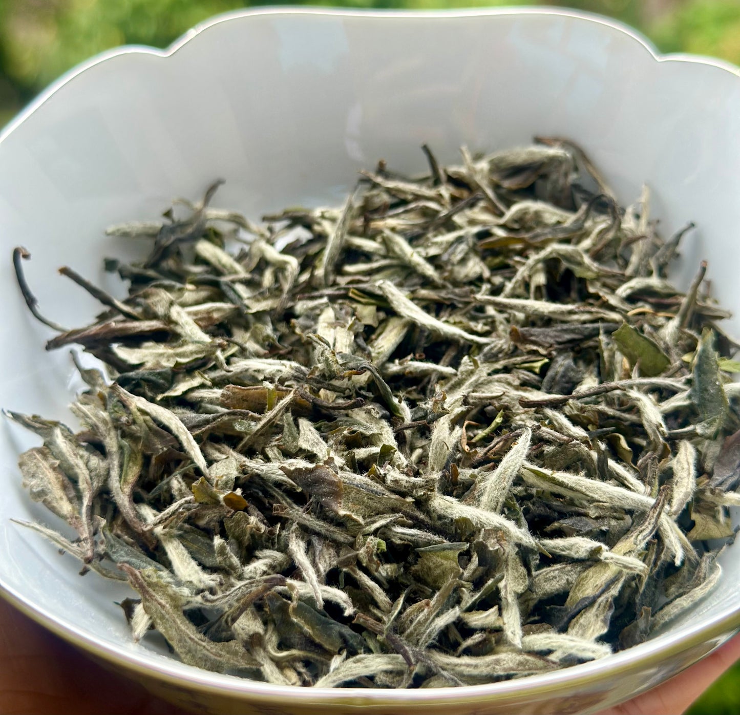 Chinese Premium Blended Gardenia Baimudan Fuding White Peony White Tea