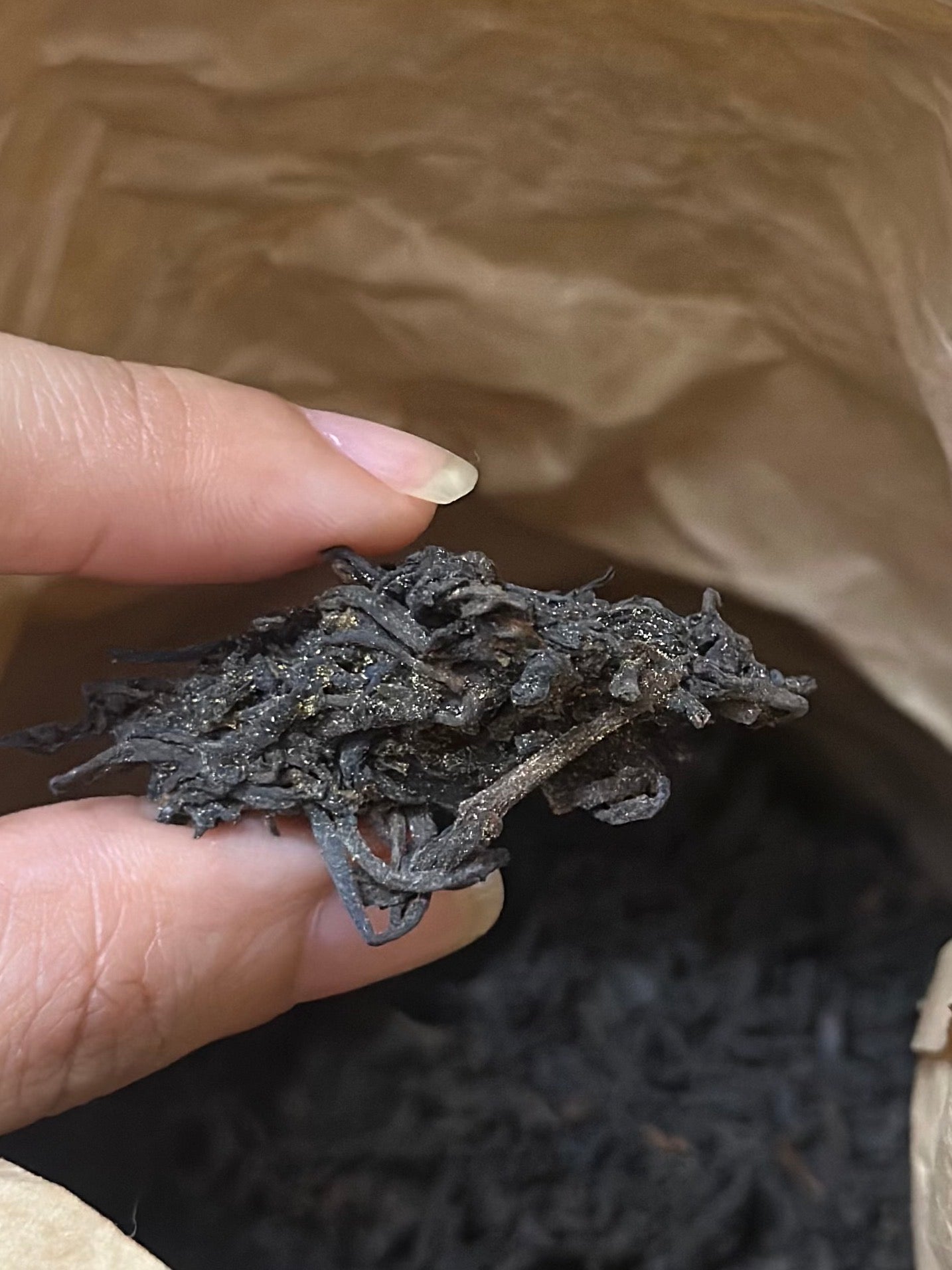 Premium 2016 Fungus Flavor Chinese Aged Liubao Dark Jinhua Liupao Hei Cha