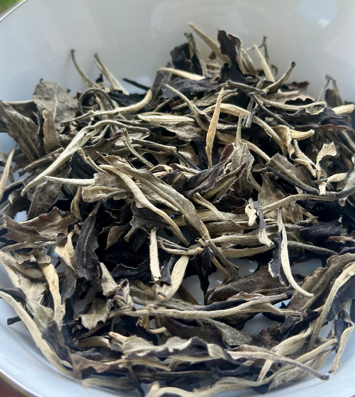 2022 Chinese Yunnan Yiwu White Tea Gushu Aged Baicha