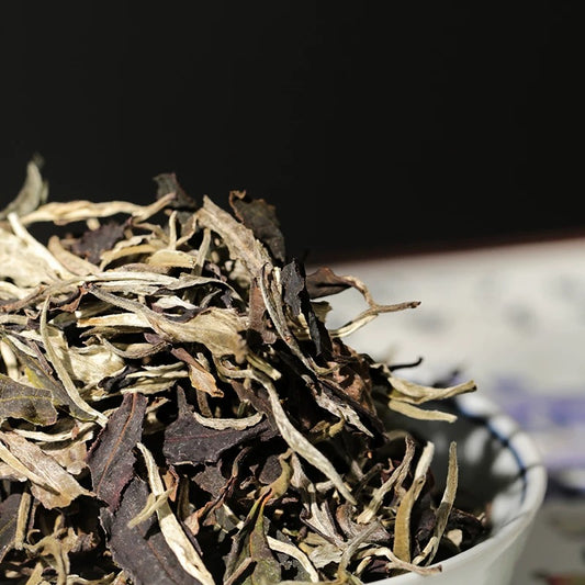 2022 Chinese Yunnan Yiwu White Tea Gushu Aged Baicha