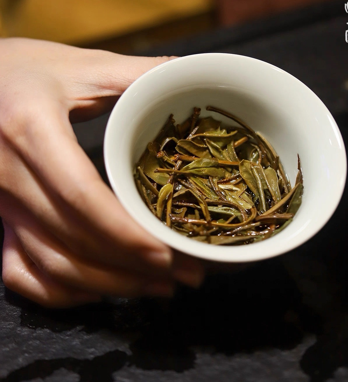 2019 Aged First Piack-up Harvest Organic Baimudan Laocong Old Tea Bush Panxi  Organic Wild White Peony White Tea Baicha