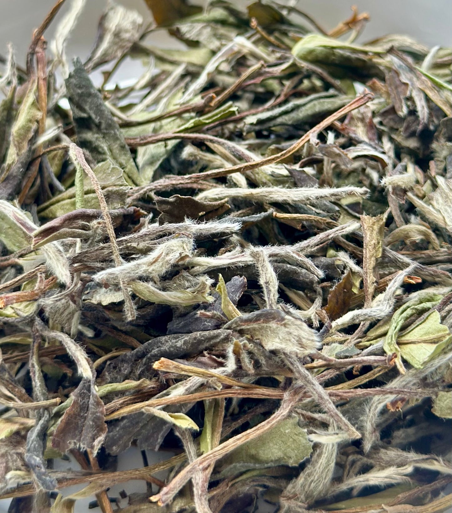 2019 Aged First Piack-up Harvest Organic Baimudan Laocong Old Tea Bush Panxi  Organic Wild White Peony White Tea Baicha