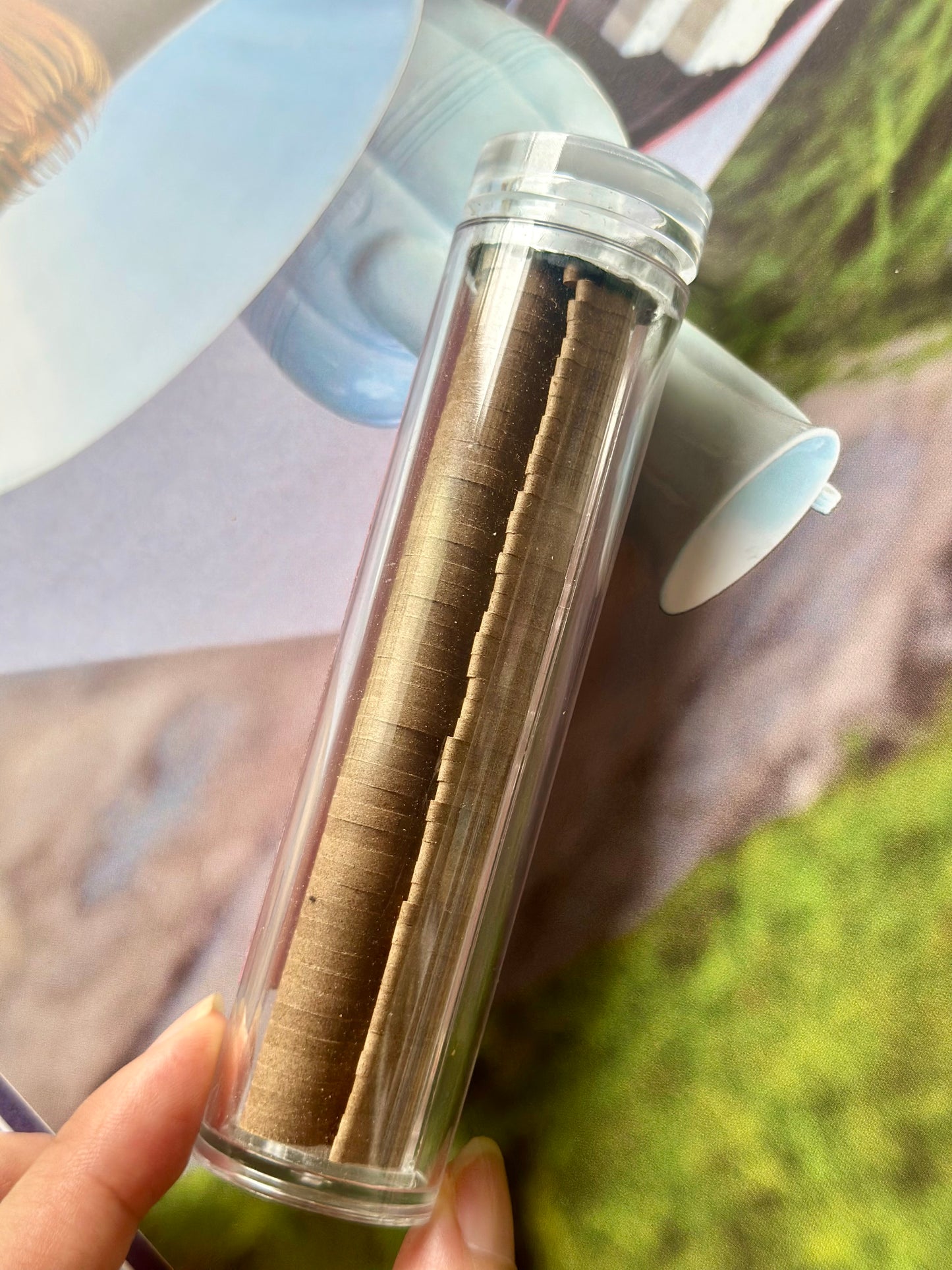 Authentic Chinese Hainan Island Precious Chonglou Agardwood 100% Pure Incense