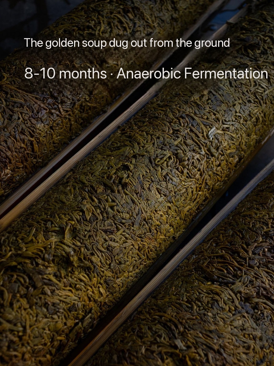 Chinese Yunnan De'ang Minority Traditional Sour Tea Fermented Acid Tea