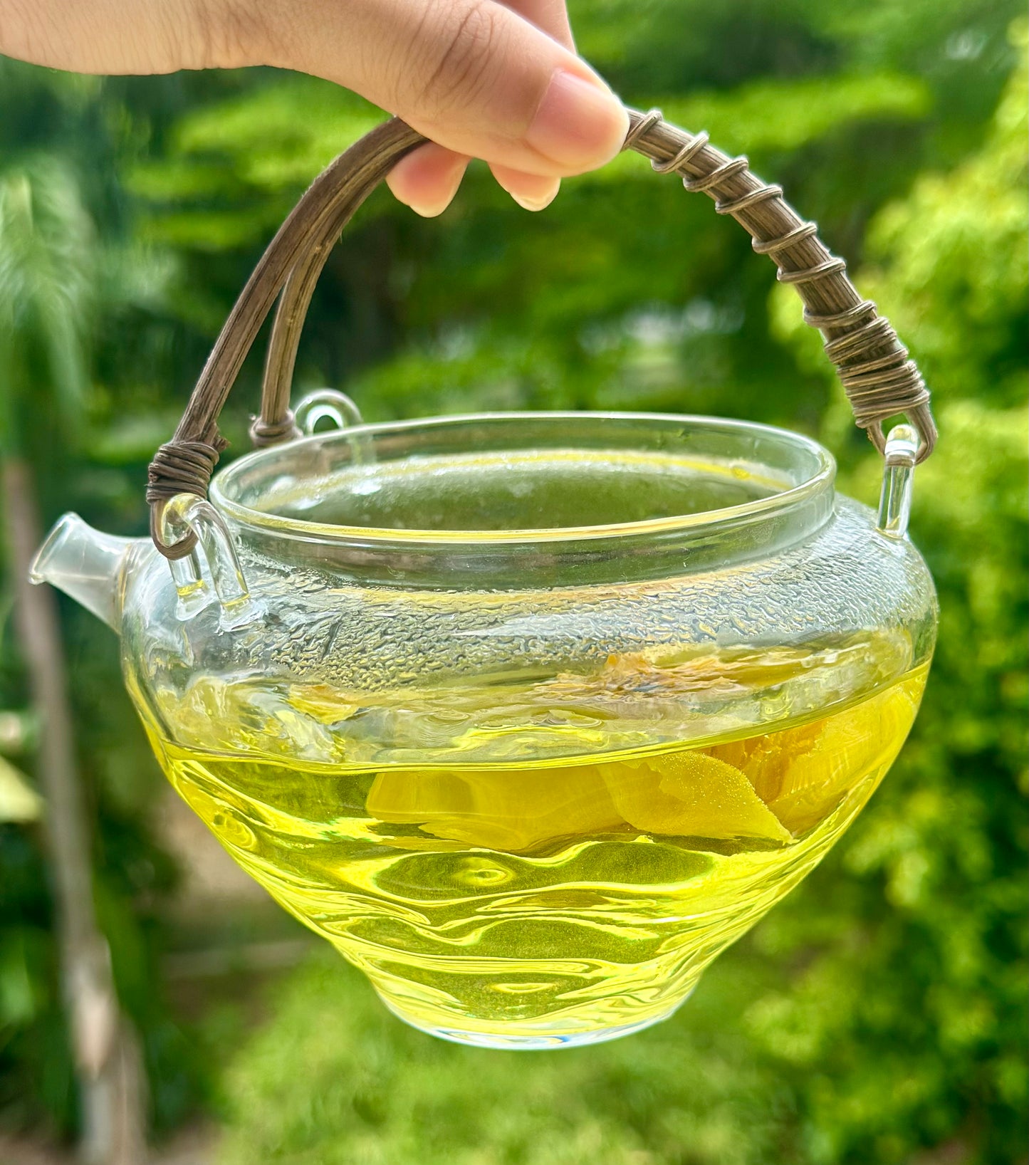 Chinese Super Precious Altitude 3400m Tibet Yellow Peony Fresh Dried Flower Detox Tea 8g