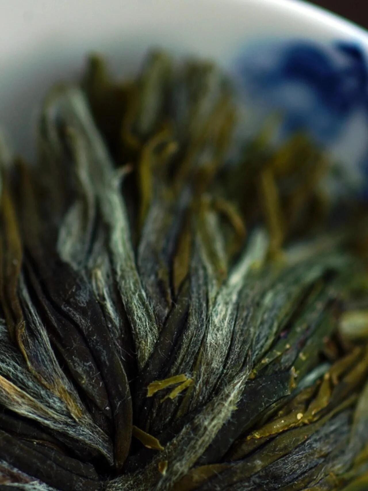 Chinese Premium Yellow Mountain Huangshan Green Peony Green Tea High Mountain Tea 50g 6 Sachets