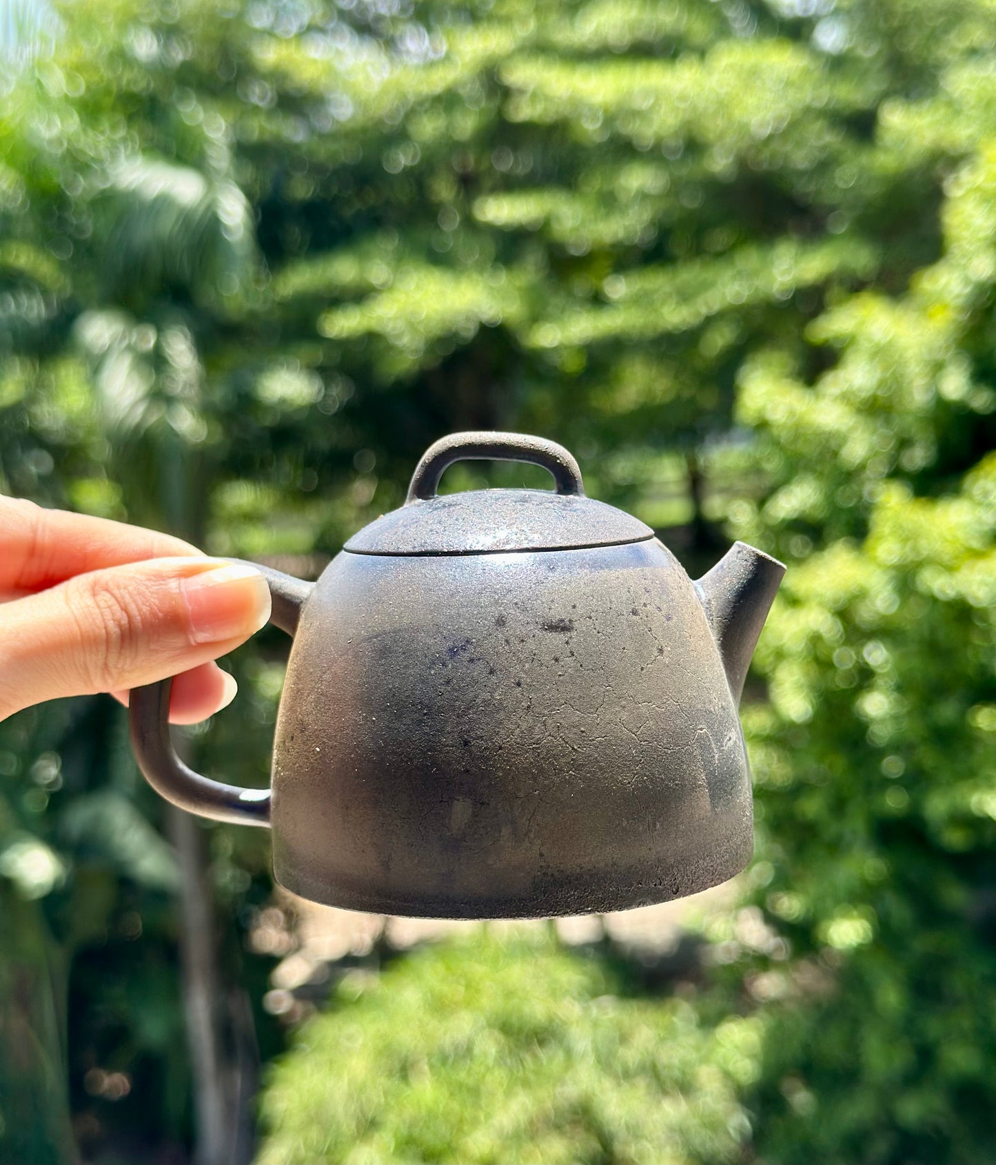 Handcrafted Woodfired Artowork Chinese Chentuo Shape Nixing clay Pottery Clay Teapot  160ml