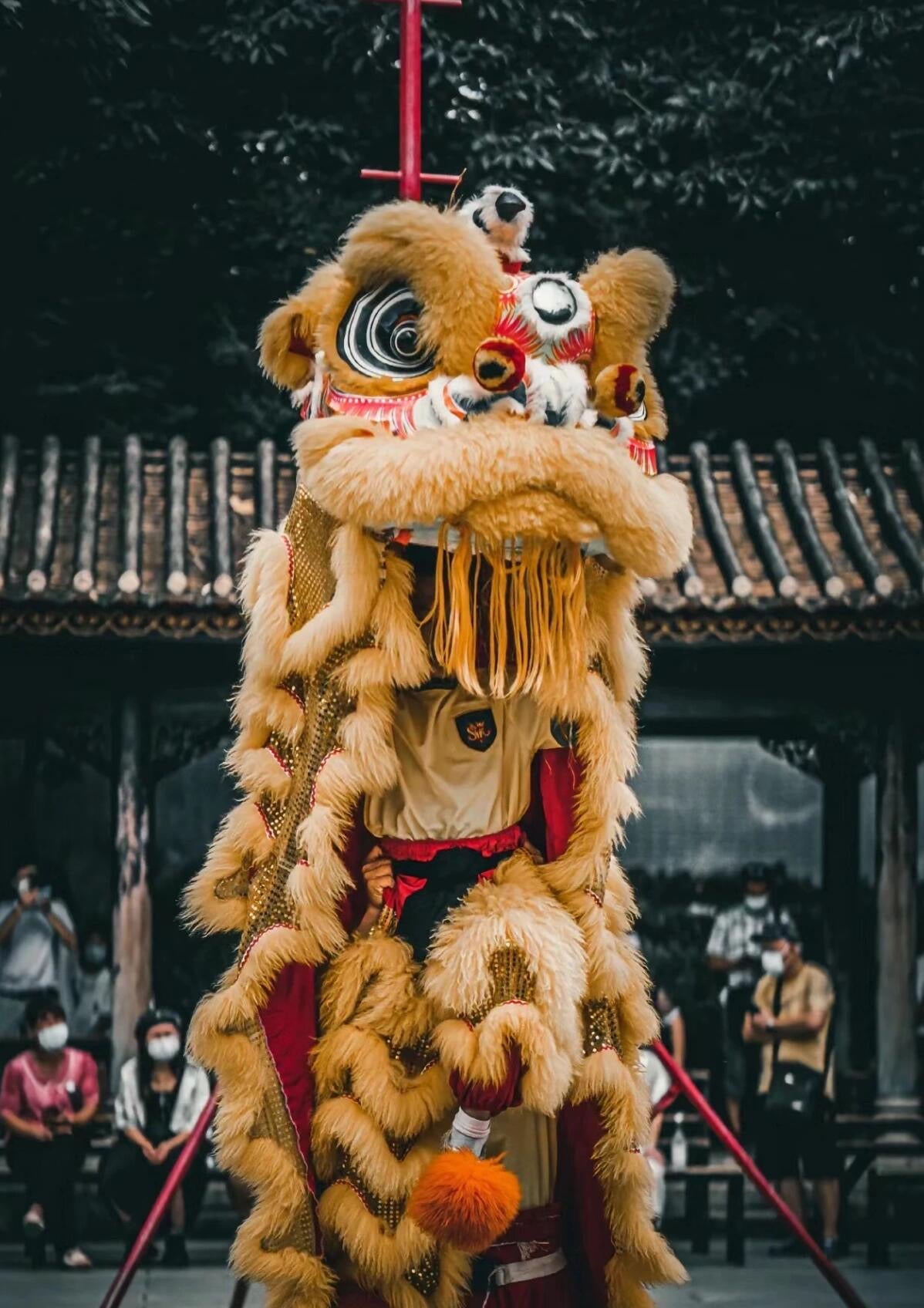 Tea Pets Handmade Lion Dance Chinese Tea Pet Simulation Home Deco Ornament