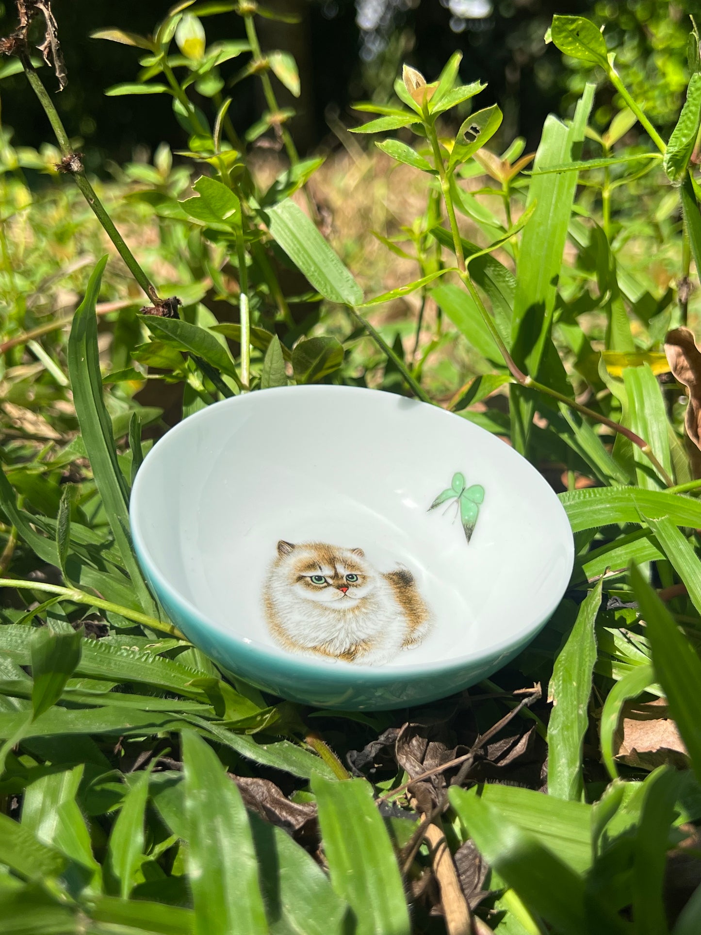 Handpainted Chinese Enamel Cat Animal Teacup Jingdezhen Master Ceramic Artwork