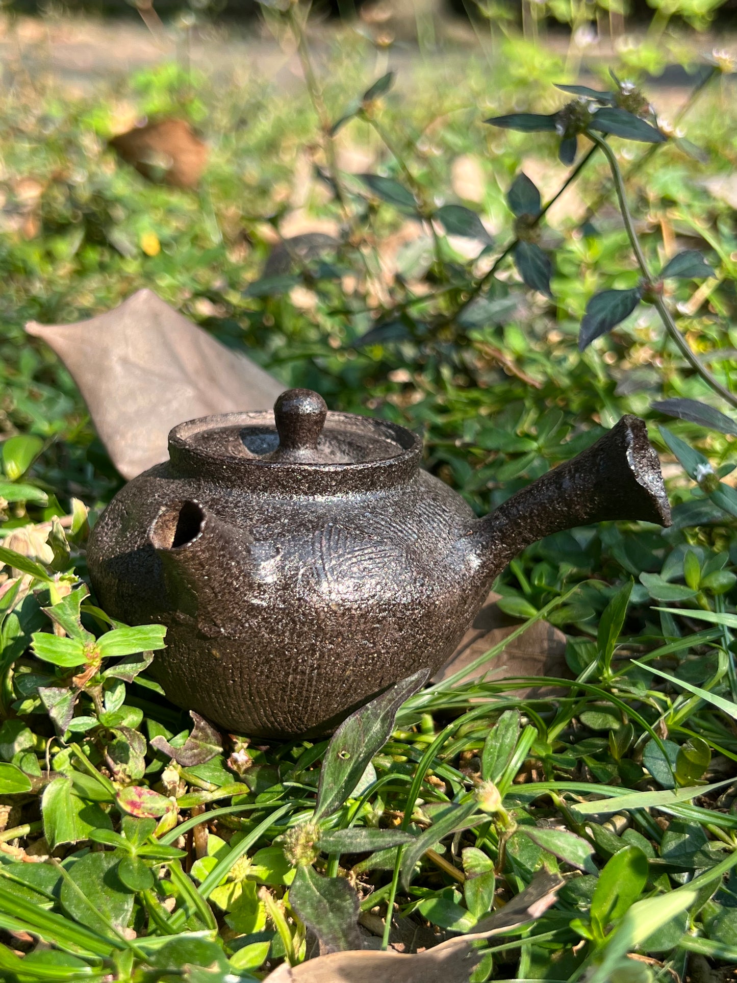 This is a pottery teapot