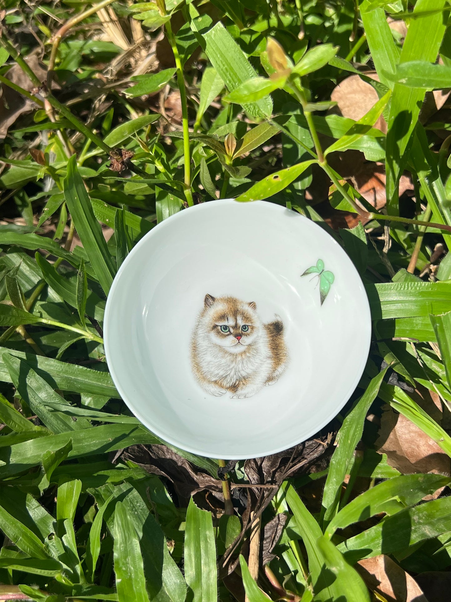 Handpainted Chinese Enamel Cat Animal Teacup Jingdezhen Master Ceramic Artwork