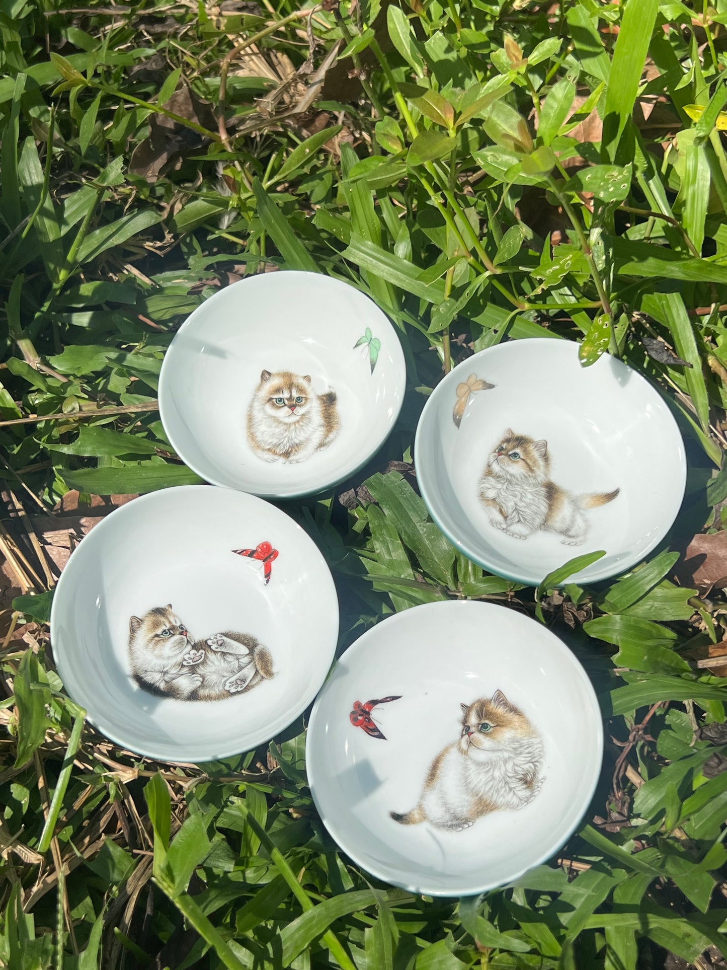 Handpainted Chinese Enamel Cat Animal Teacup Jingdezhen Master Ceramic Artwork