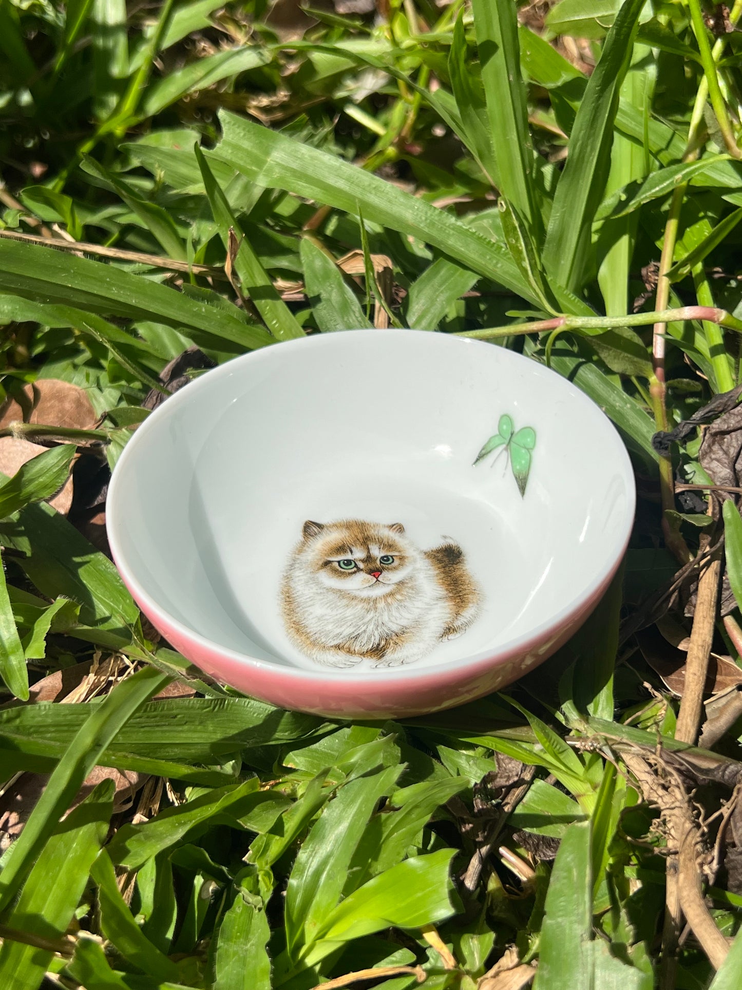 Handpainted Chinese Enamel Cat Animal Teacup Jingdezhen Master Ceramic Artwork