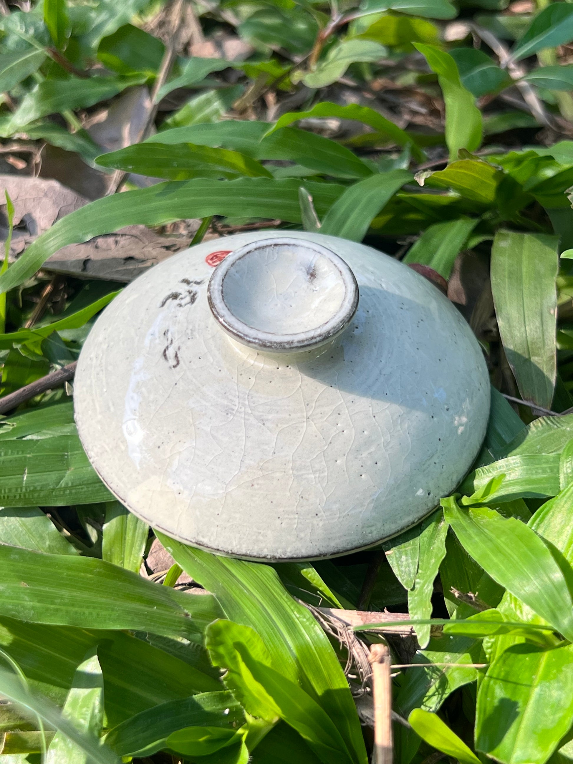 this is a pottery gaiwan. this is a kohiki teapot