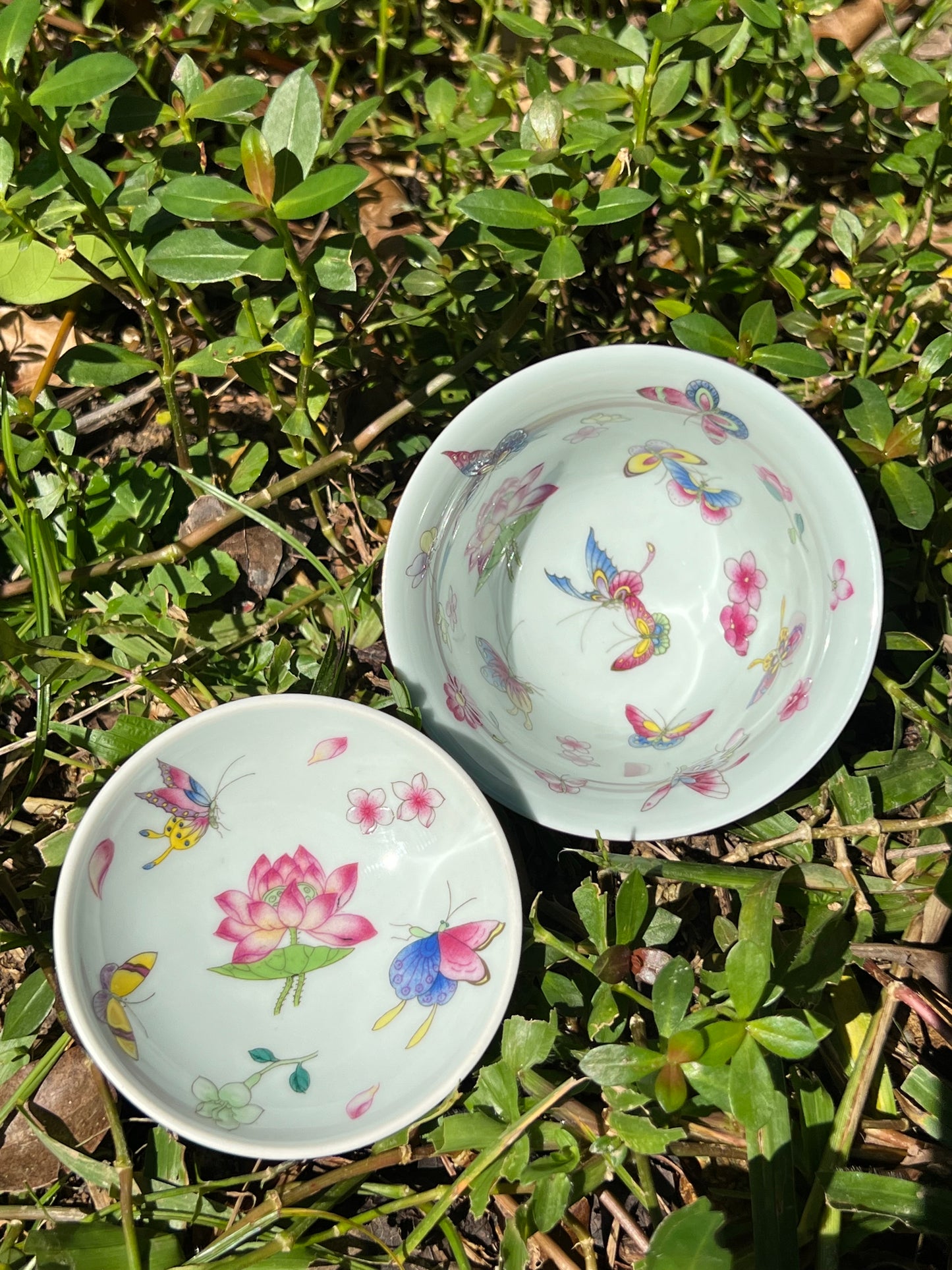 Hand Painted Chinese Butterfly Gaiwan Jingdezhen Master Ceramic Artwork