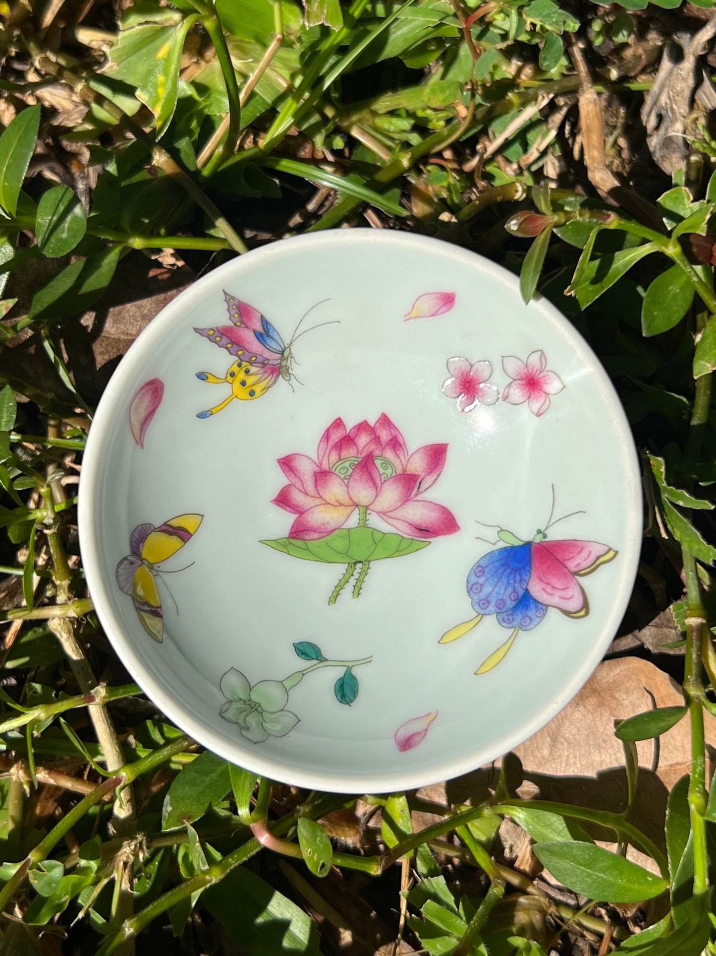 Hand Painted Chinese Butterfly Gaiwan Jingdezhen Master Ceramic Artwork