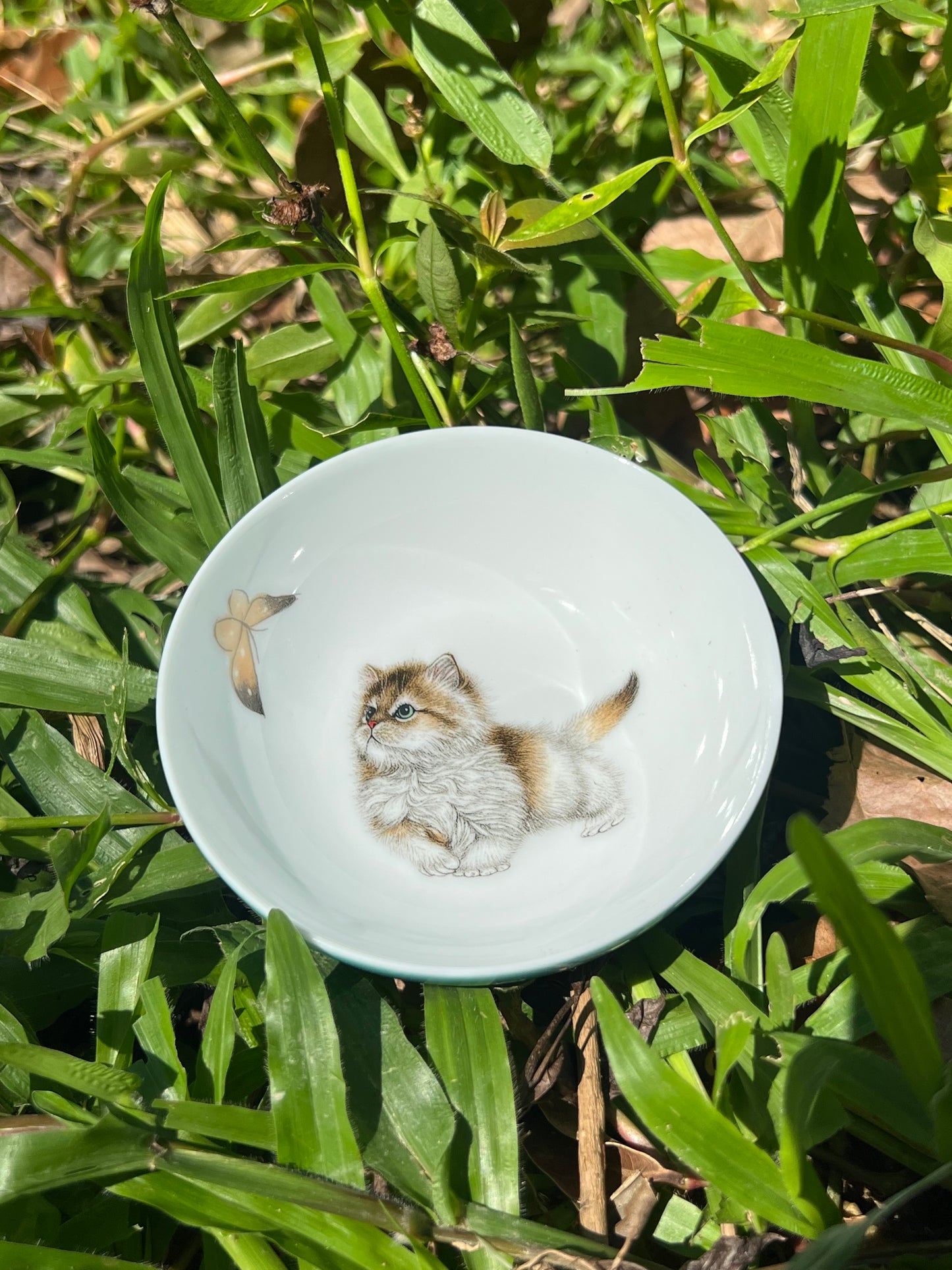 Handpainted Chinese Enamel Cat Animal Teacup Jingdezhen Master Ceramic Artwork