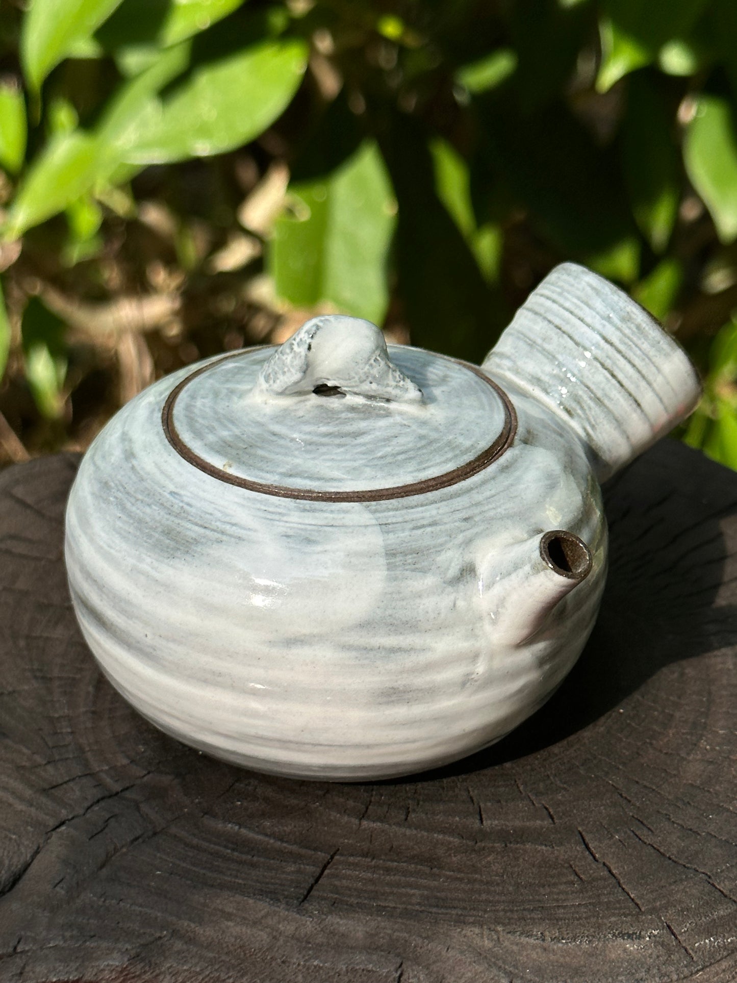 This is a shino ware teapot.this is a shinoyaki teapot