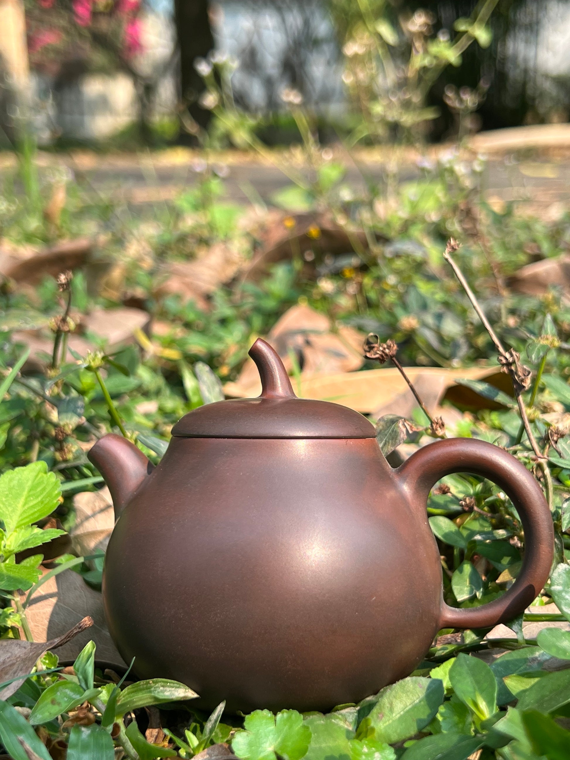 This is a Nixing teapot.this is a Chinese Nixing pottery clay teapot