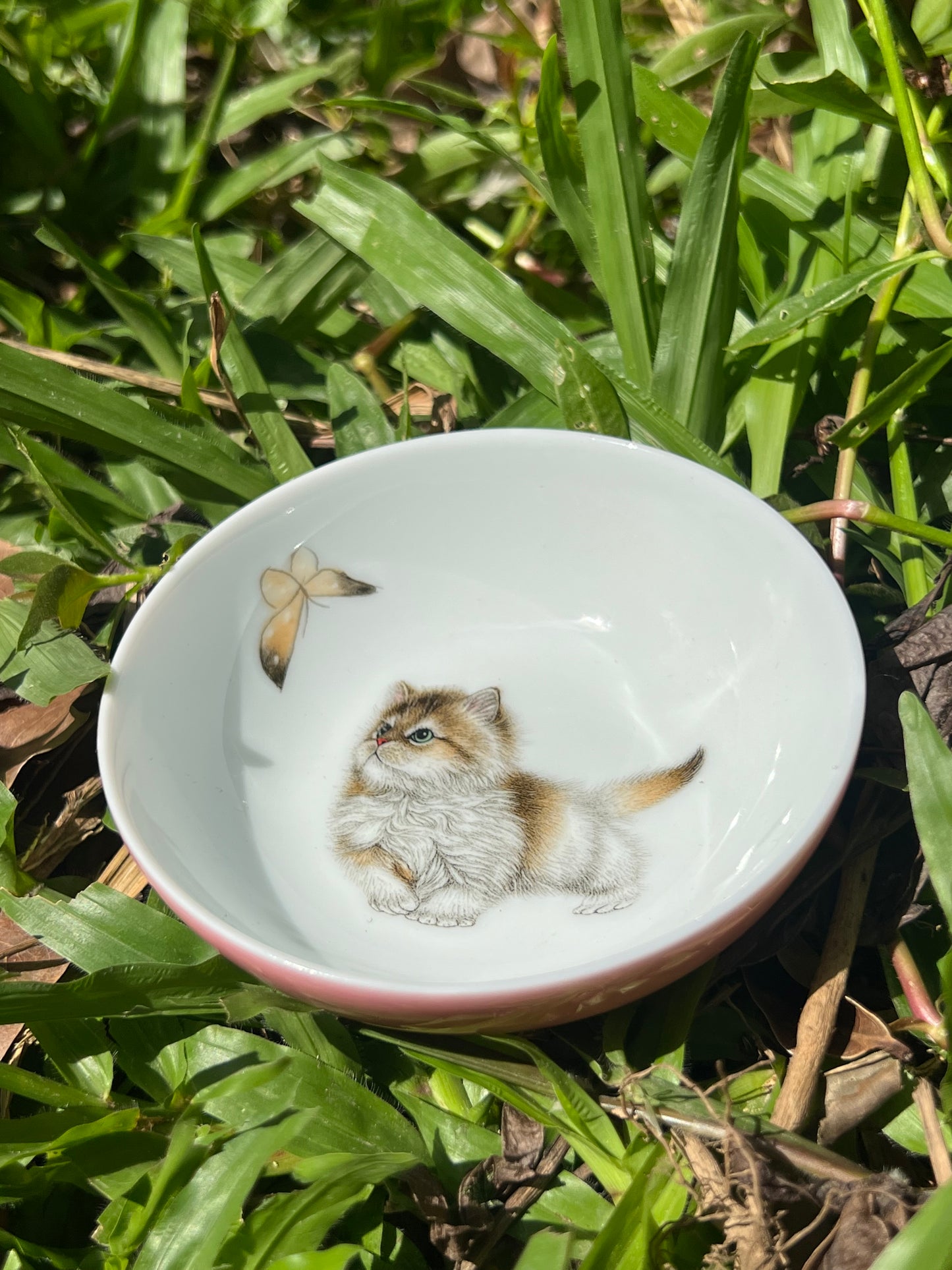 Handpainted Chinese Enamel Cat Animal Teacup Jingdezhen Master Ceramic Artwork