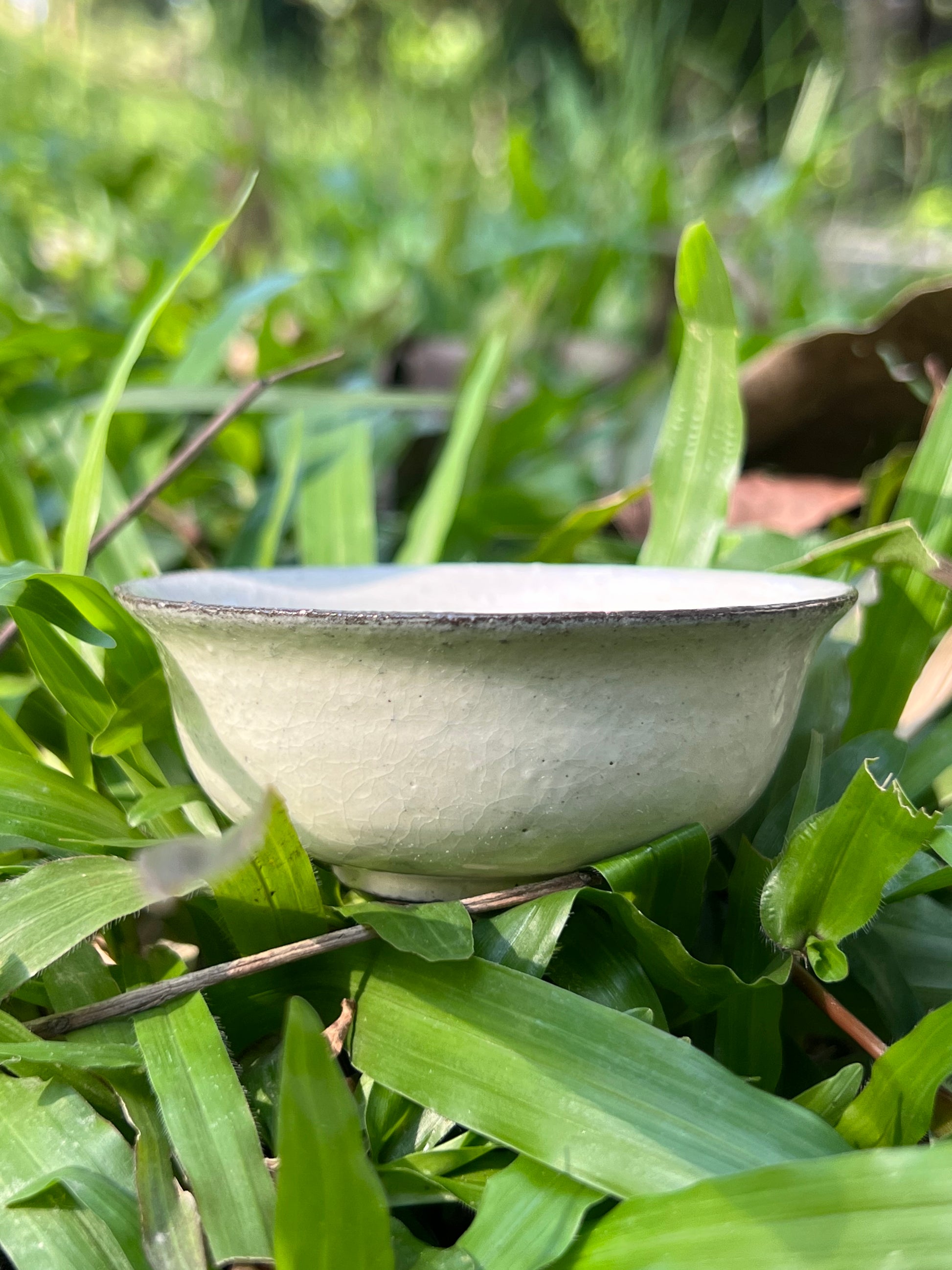 this is a pottery gaiwan. this is a kohiki teapot