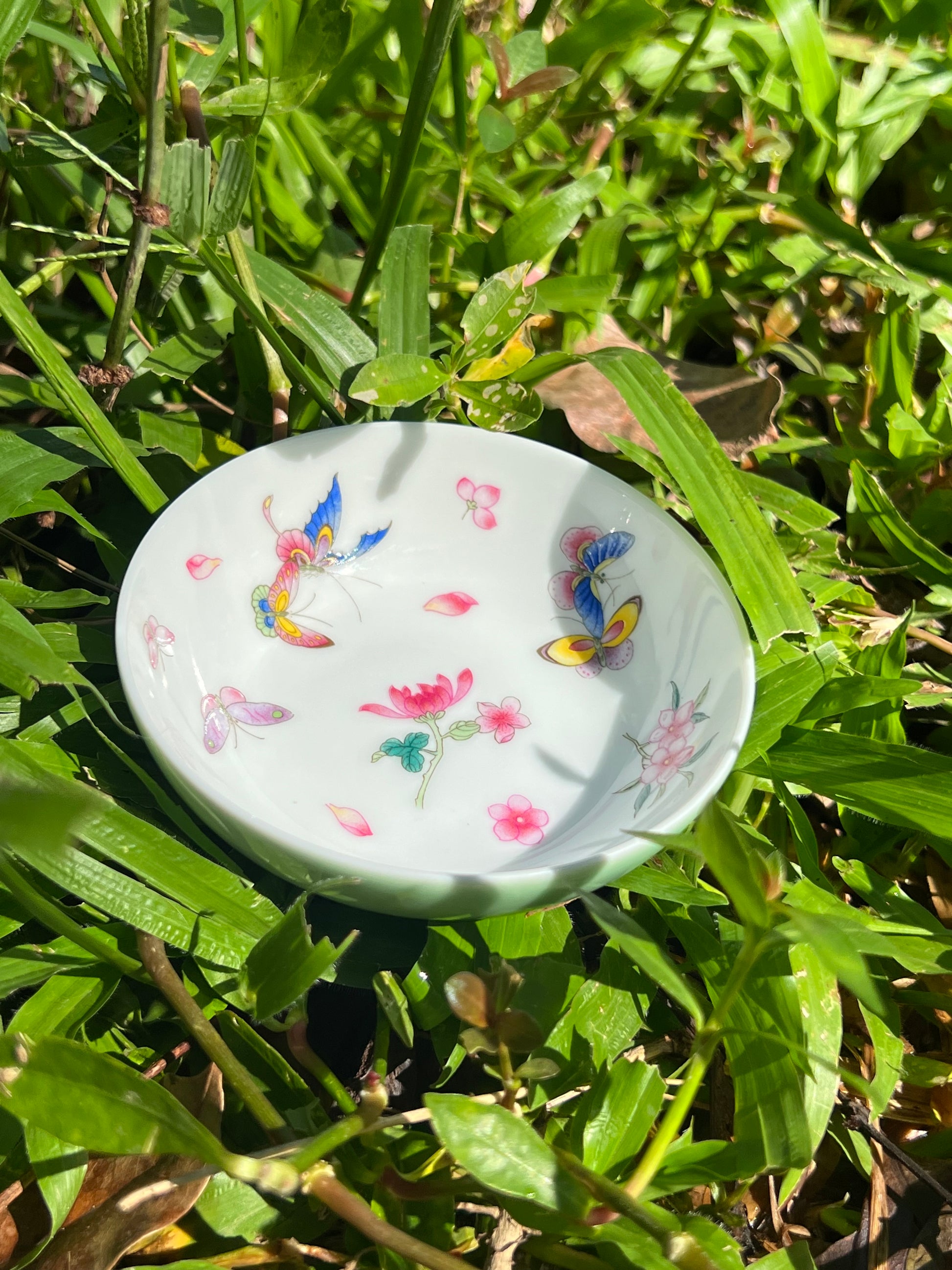 this is Chinese Jingdezhen enamel butterfly teacup. this is a ceramic teacup