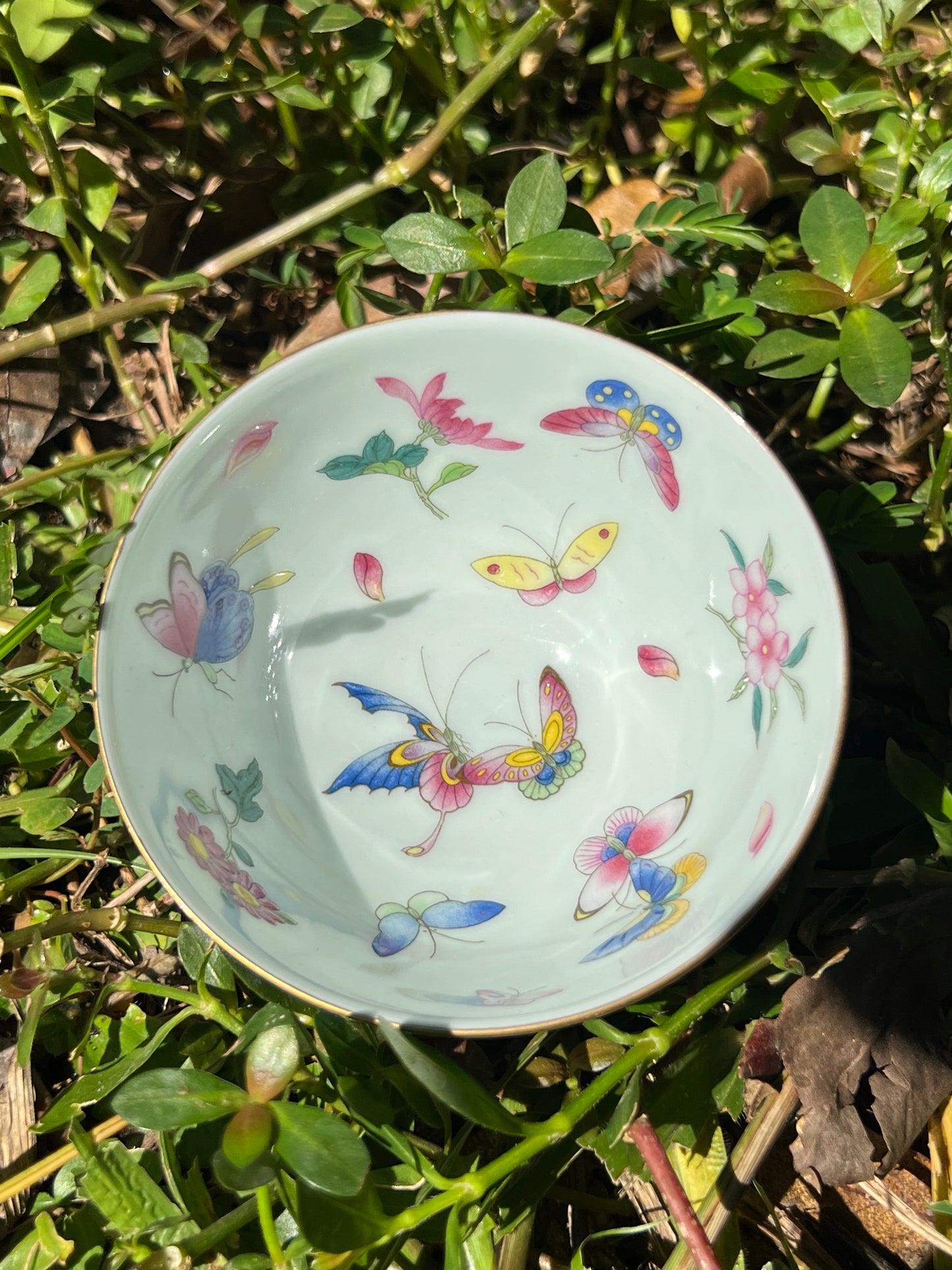 Hand Painted Chinese Butterfly Gaiwan Jingdezhen Master Ceramic Artwork