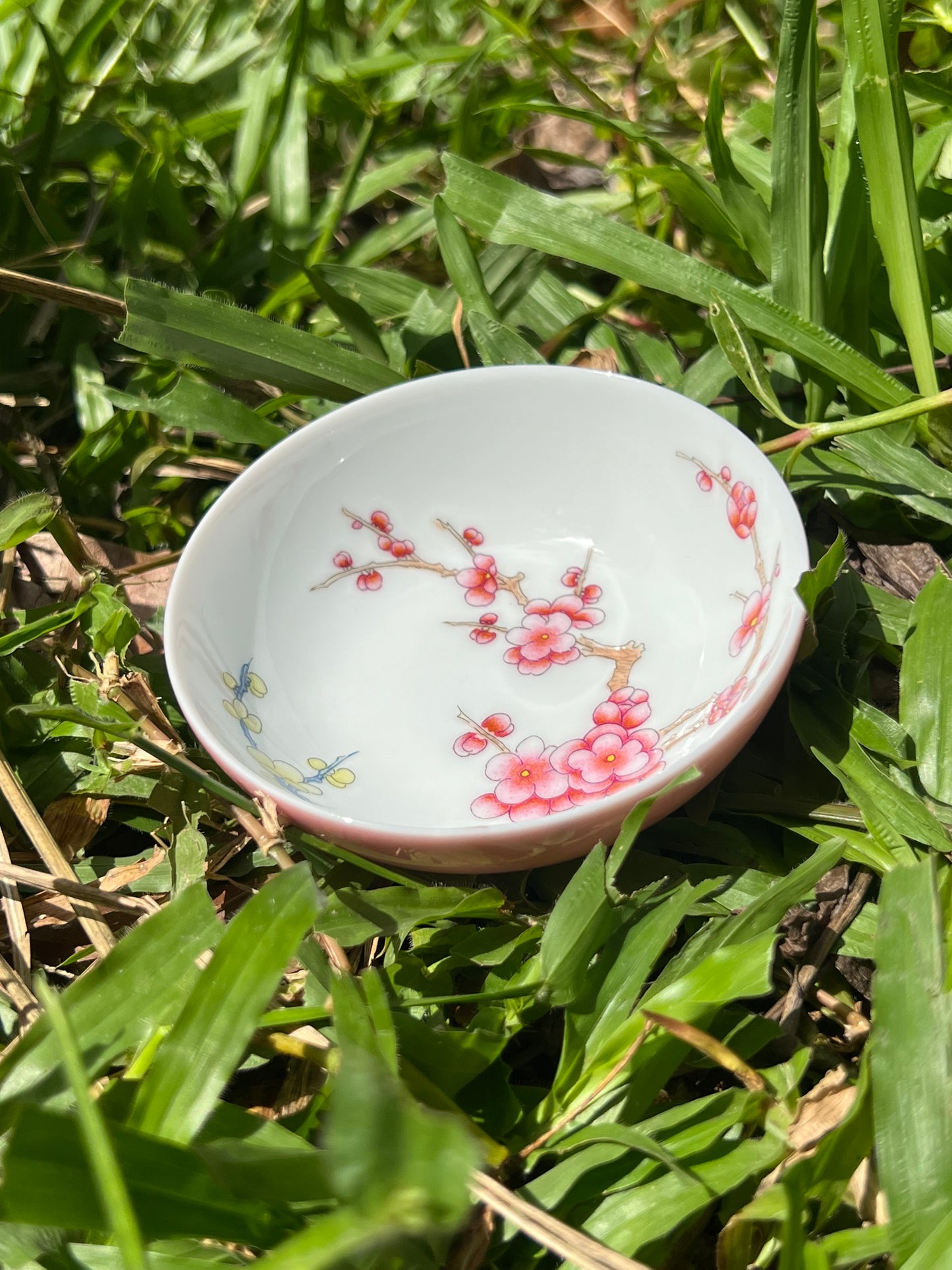 Hand Painted Chinese Enamel Plum Flower Teacup Jingdezhen Master Ceramic Artwork