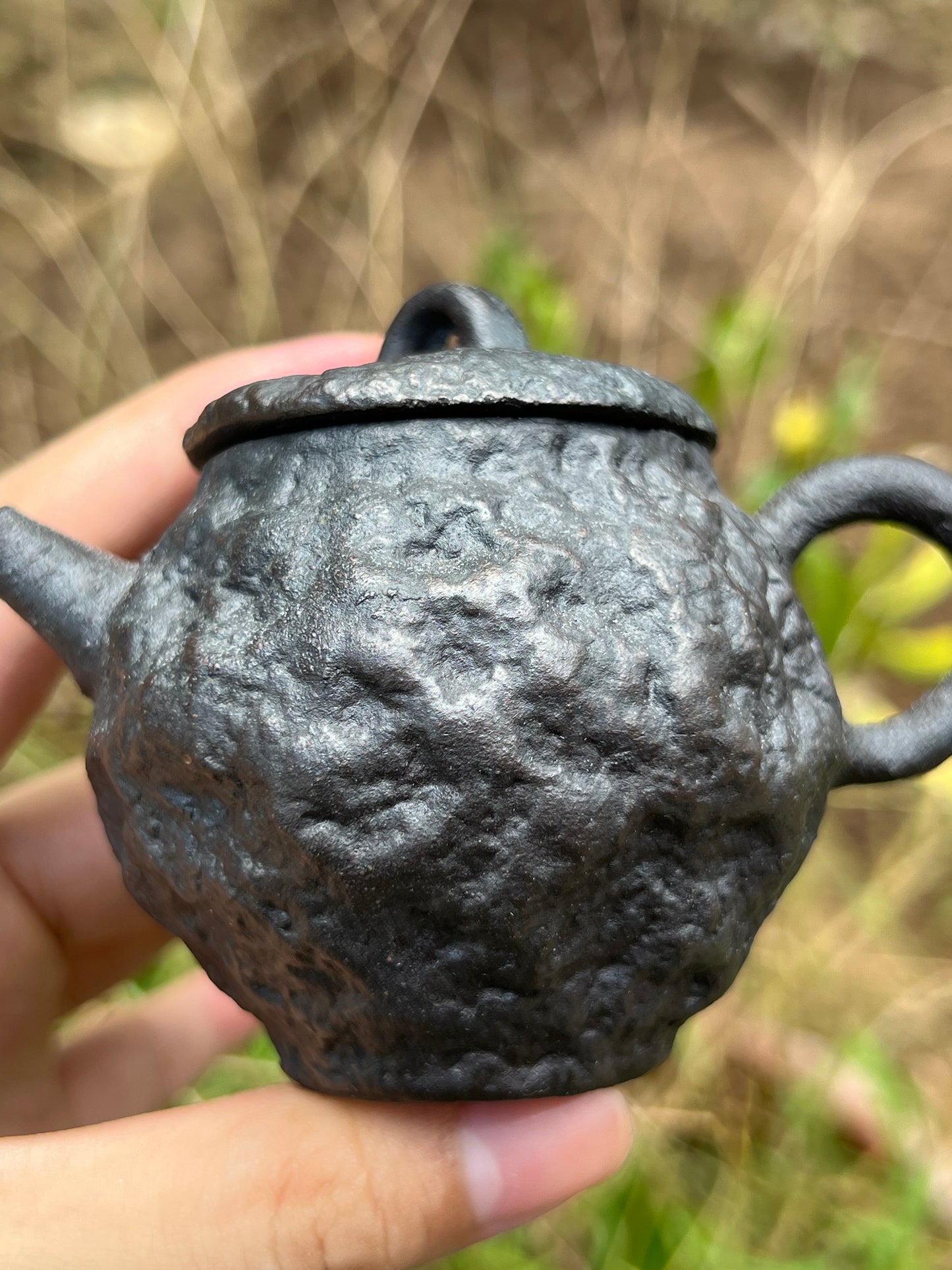 Handcrafted Chinese Purple Clay Teapot Small Capacity Kungfu Teapot Tea Ceremony