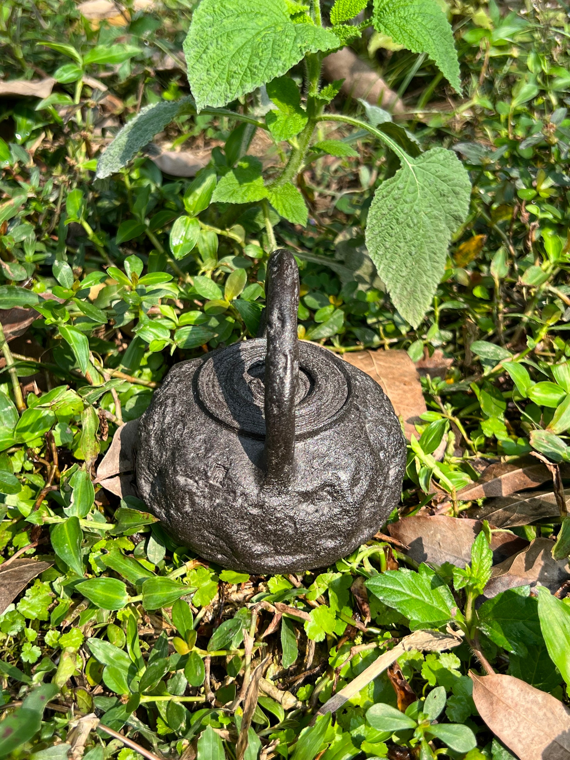 this is a purple clay teapot