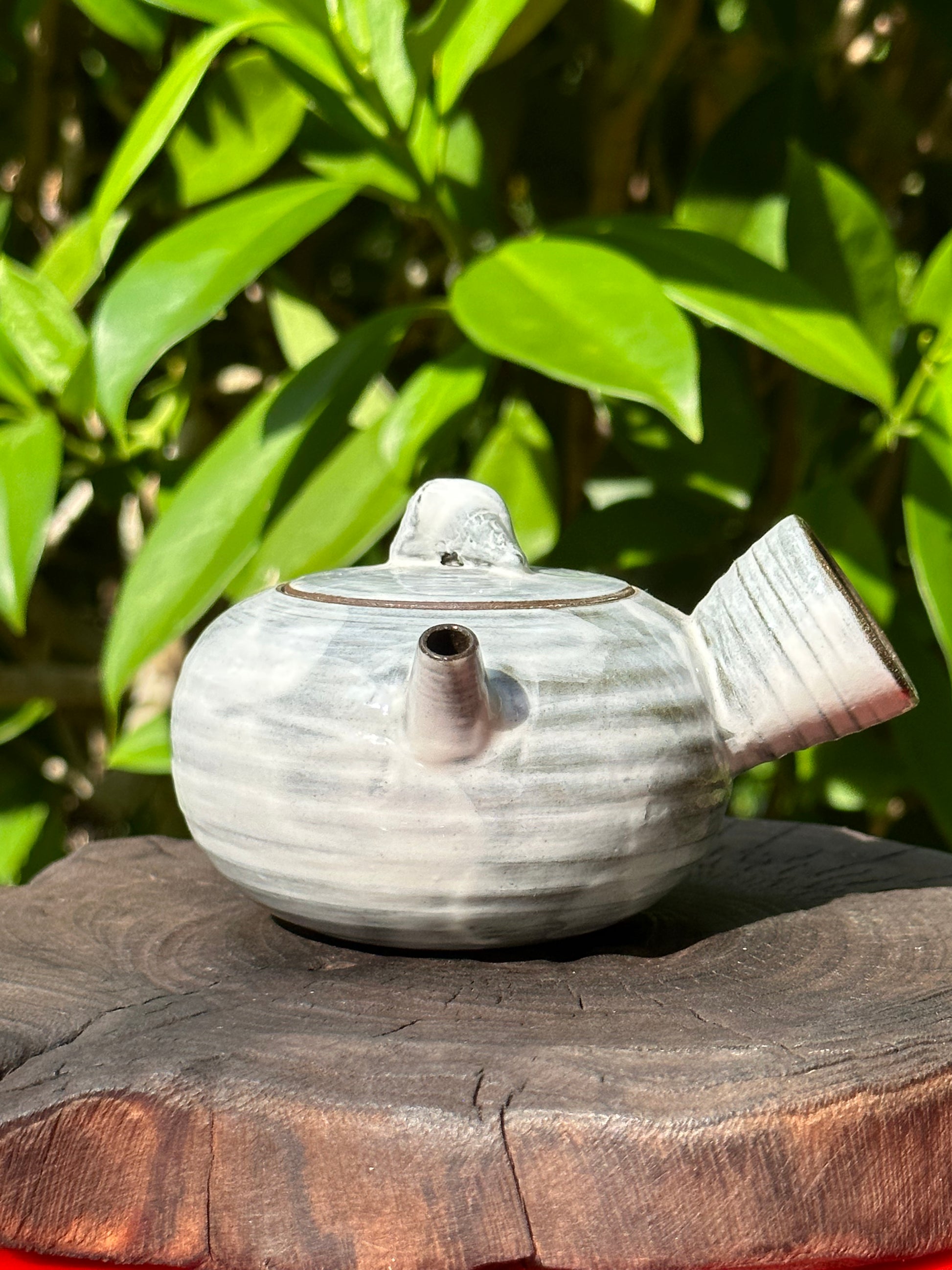 This is a shino ware teapot.this is a shinoyaki teapot